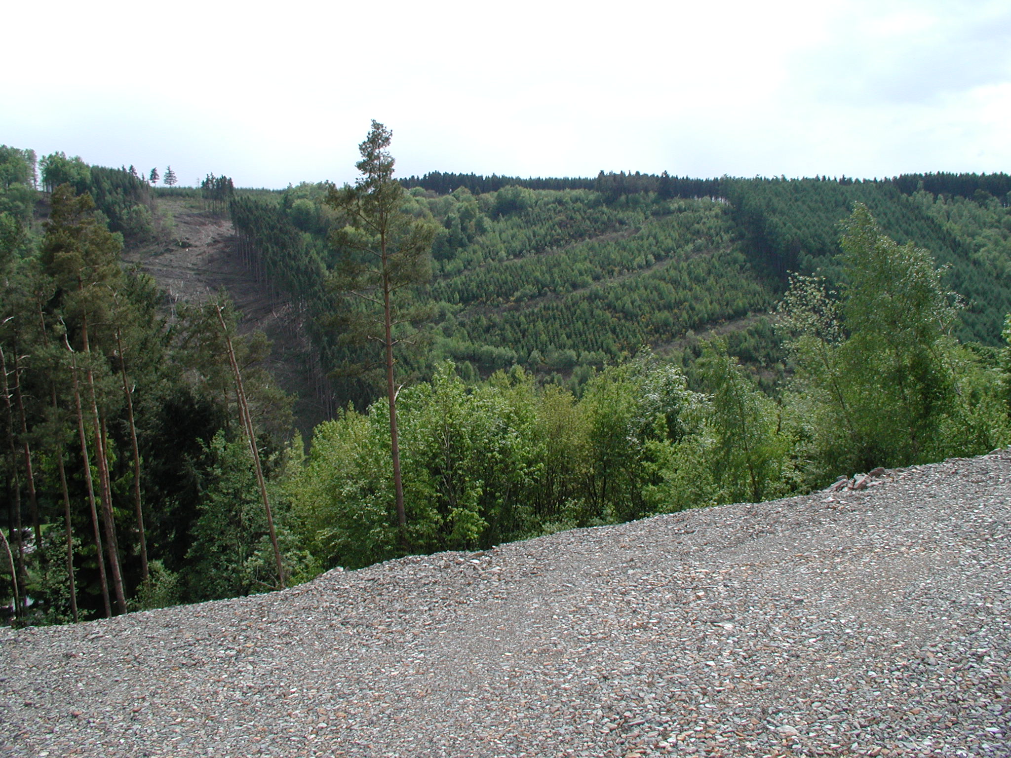 - image: 11