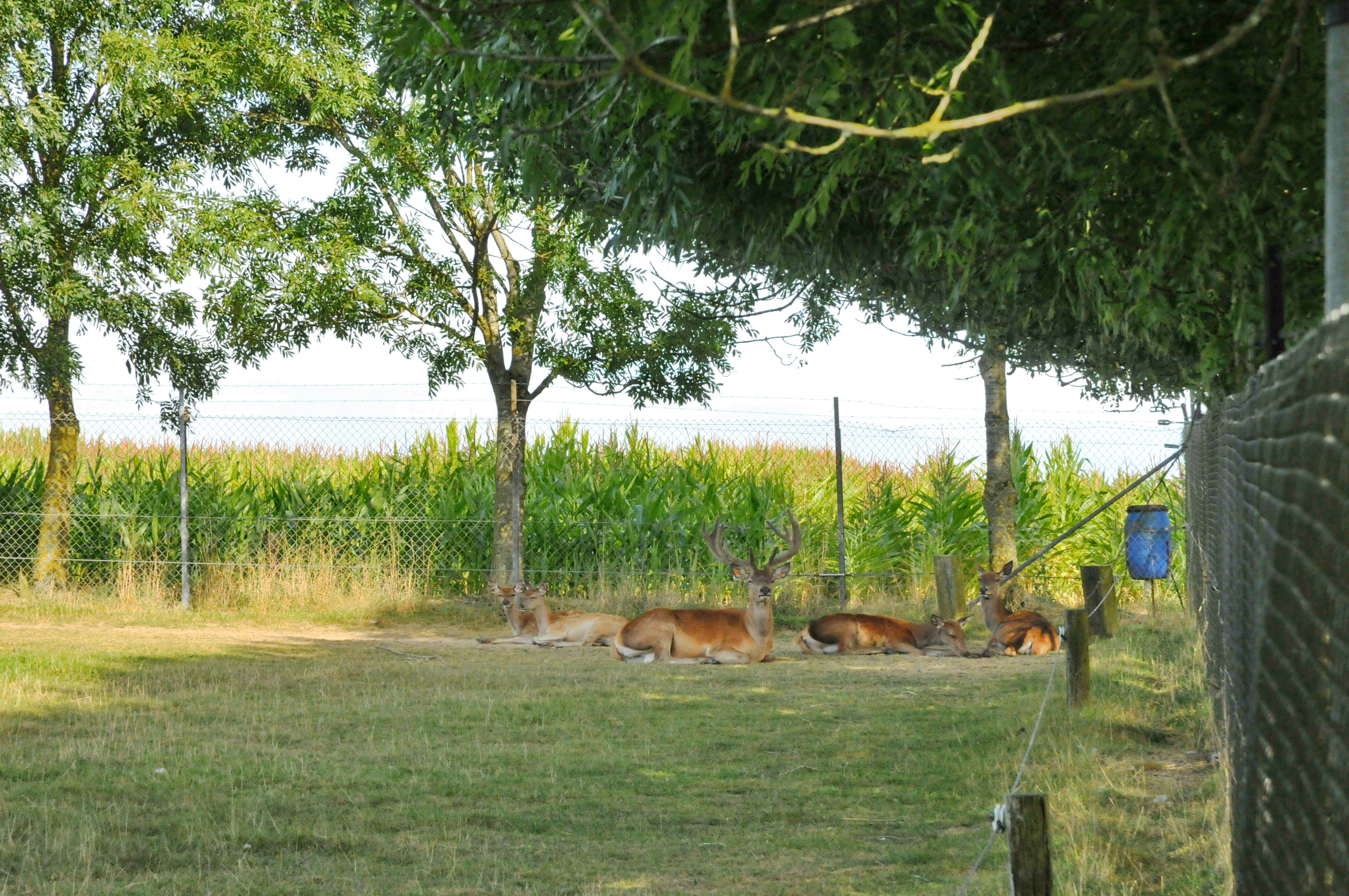 Naturhäuschen in SOMME-LEUZE