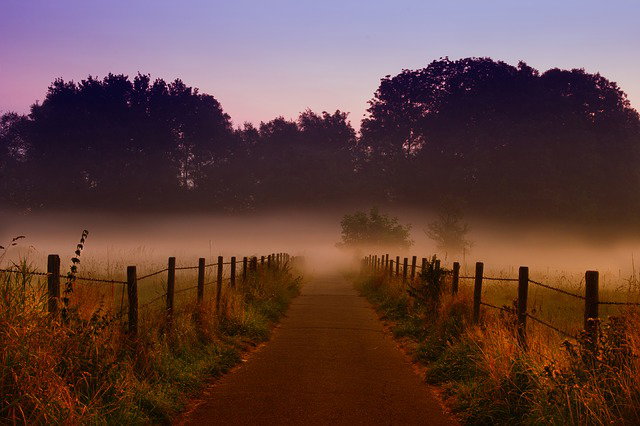- image: 70