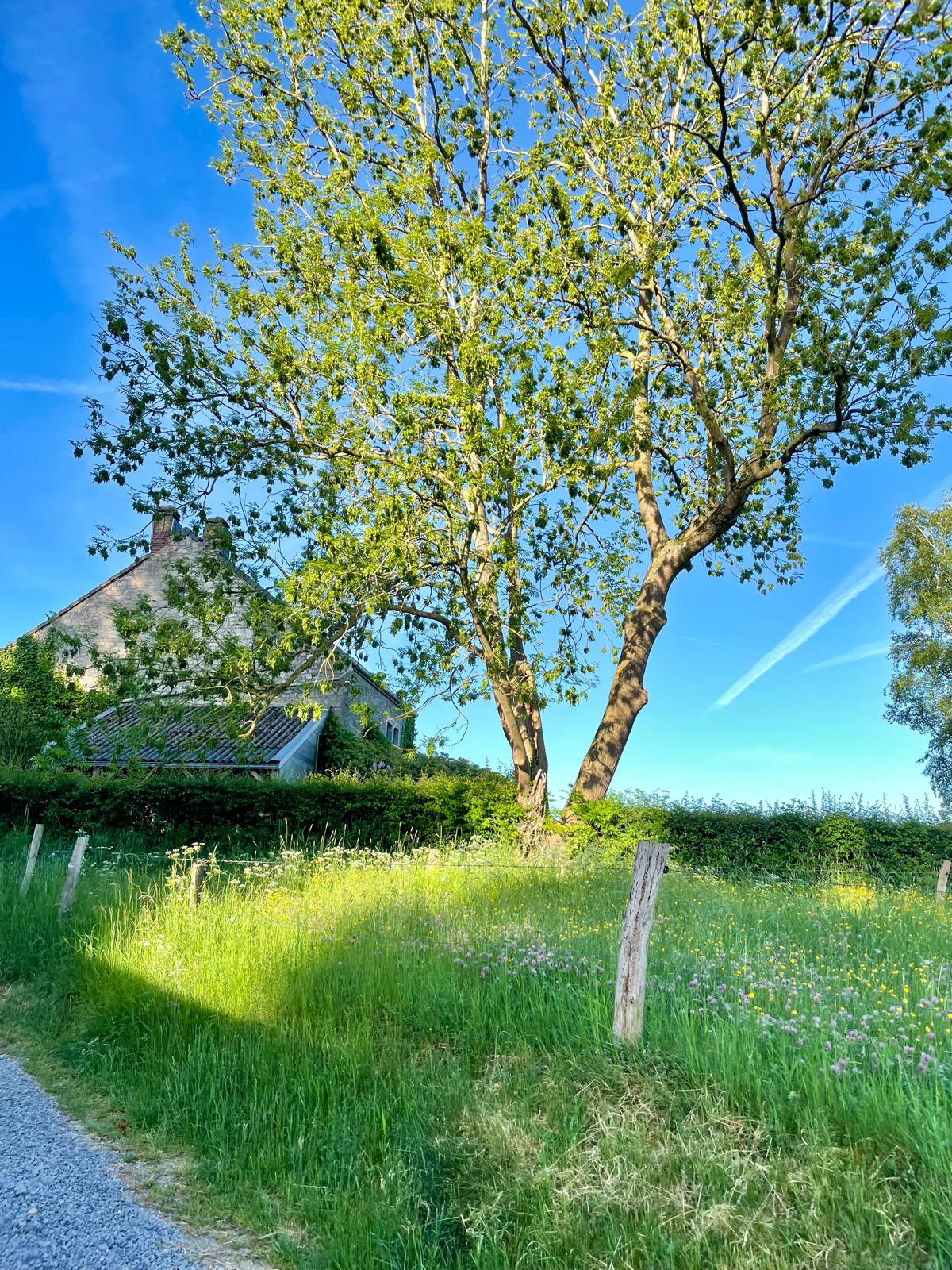 - image: 73