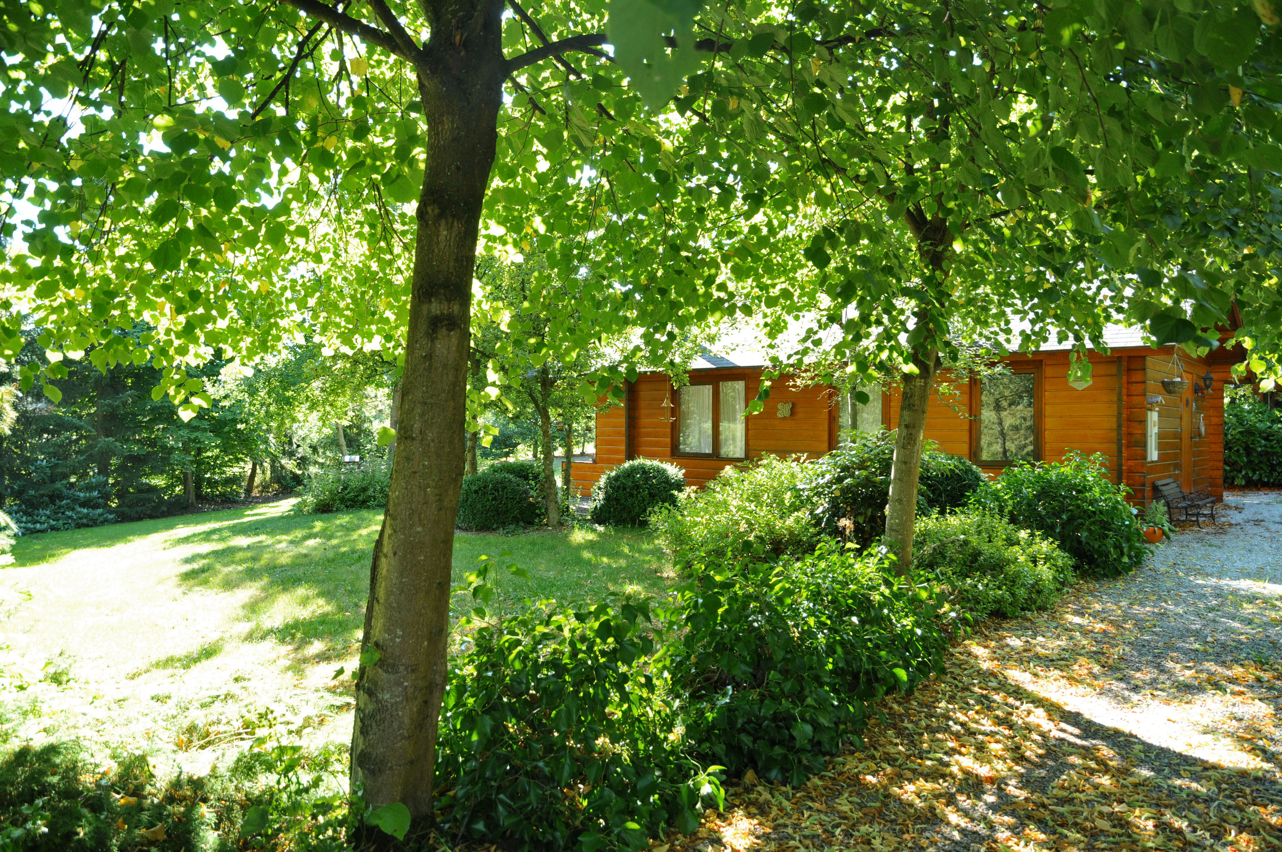 - image: 6