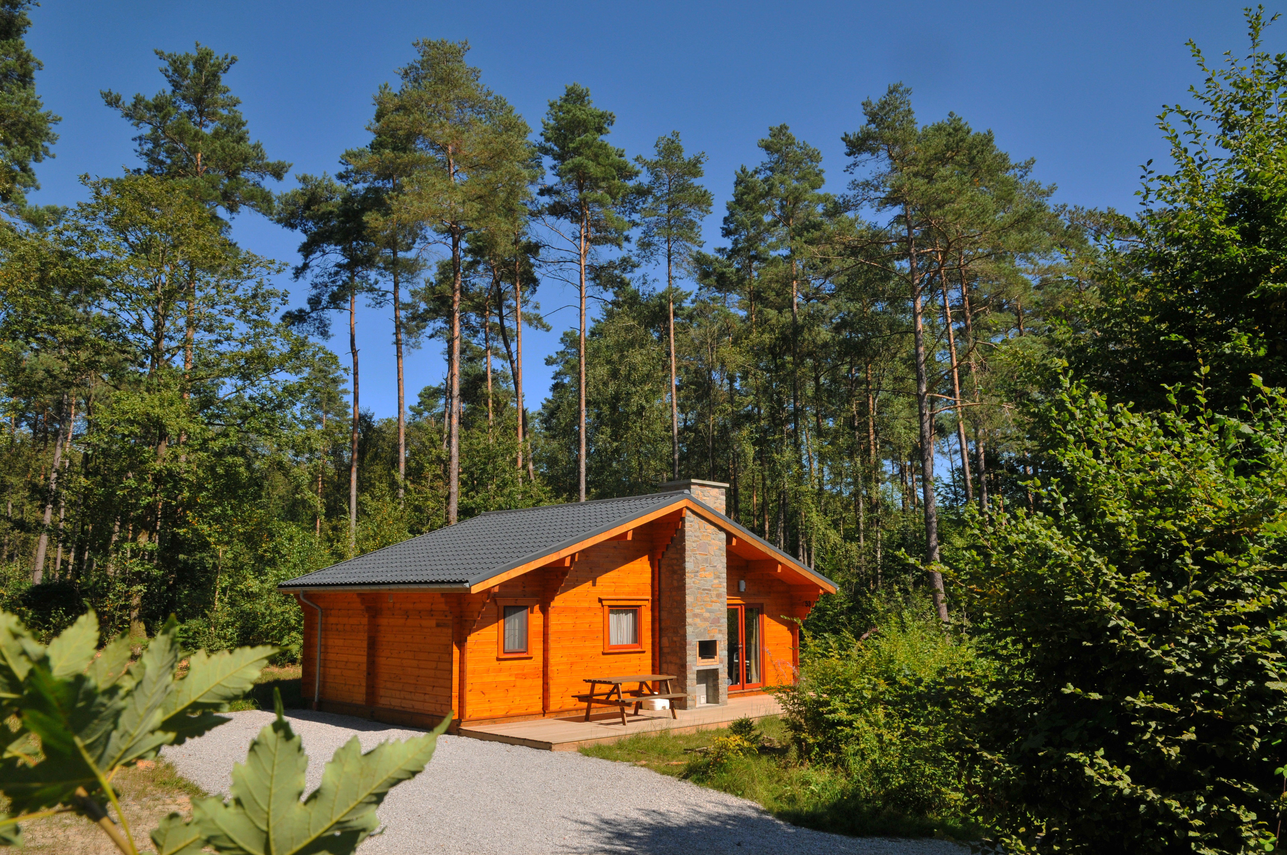 Maison nature à Oignies-en-Thiérache
