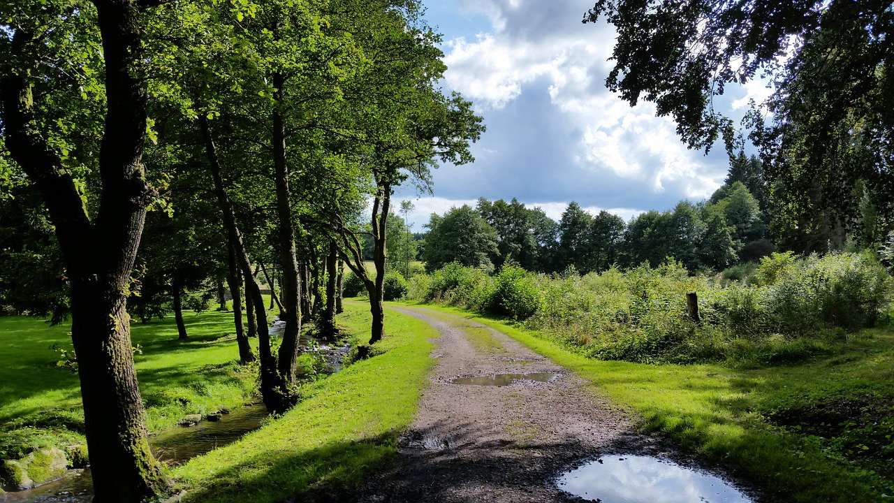 Maison nature à Oignies-en-Thiérache