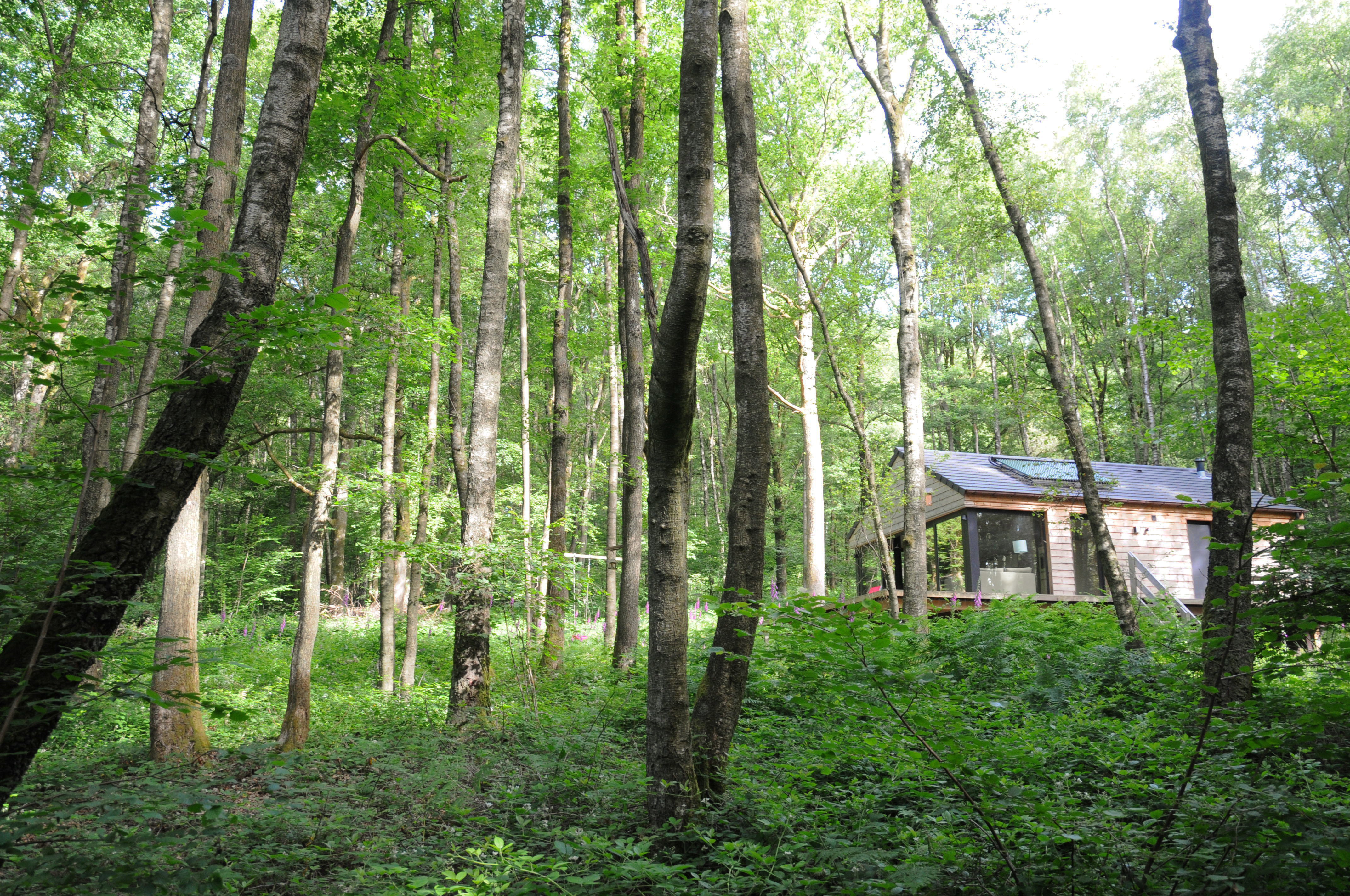 Maison nature à OIGNIES