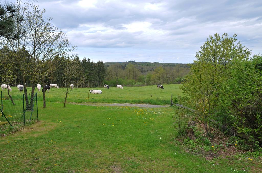 Maison nature à Durbuy
