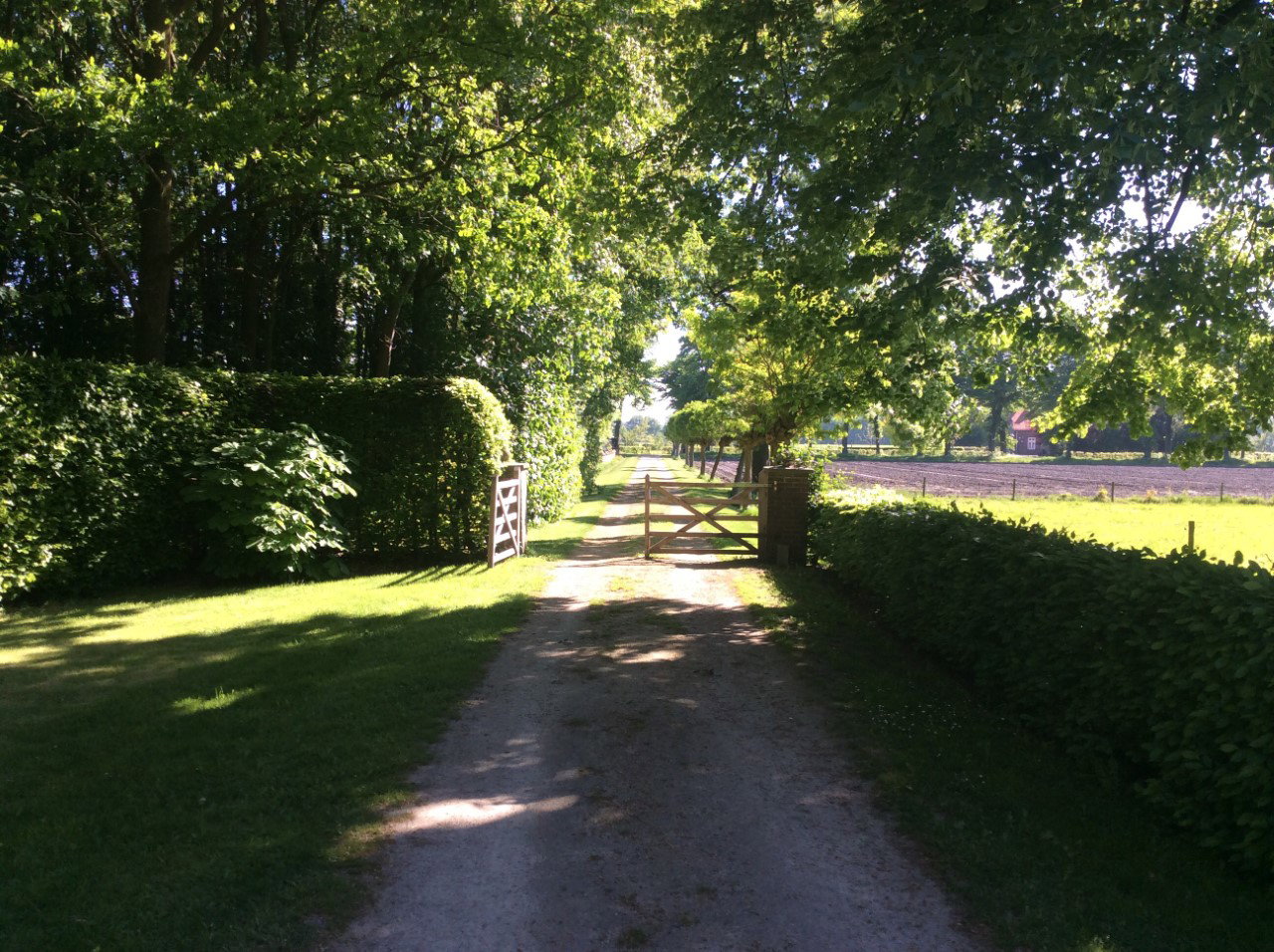 Naturhäuschen in Westerbeek