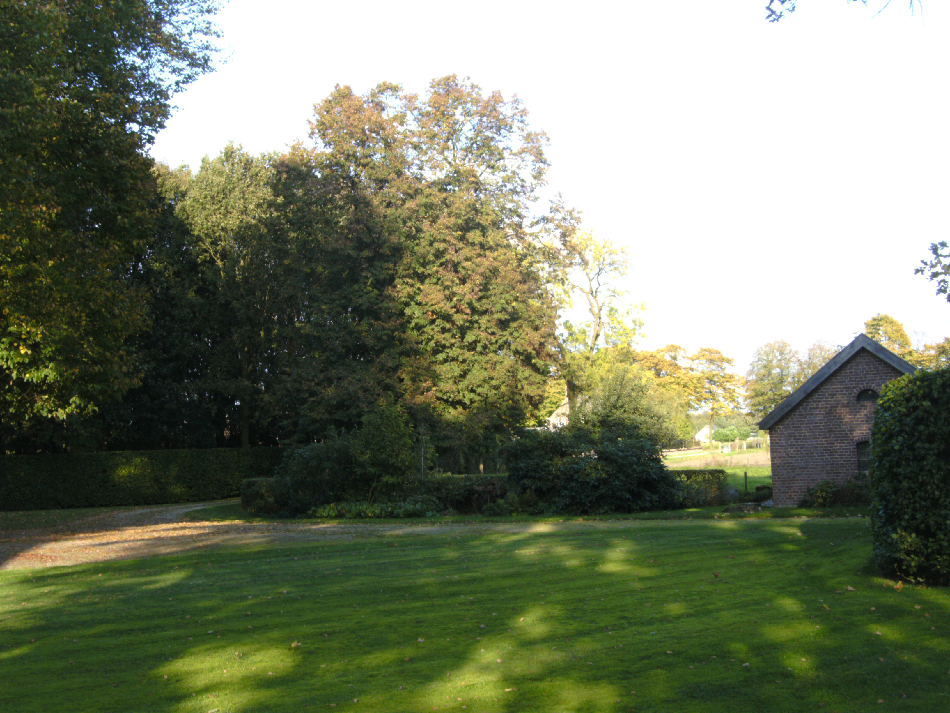 - image: 15