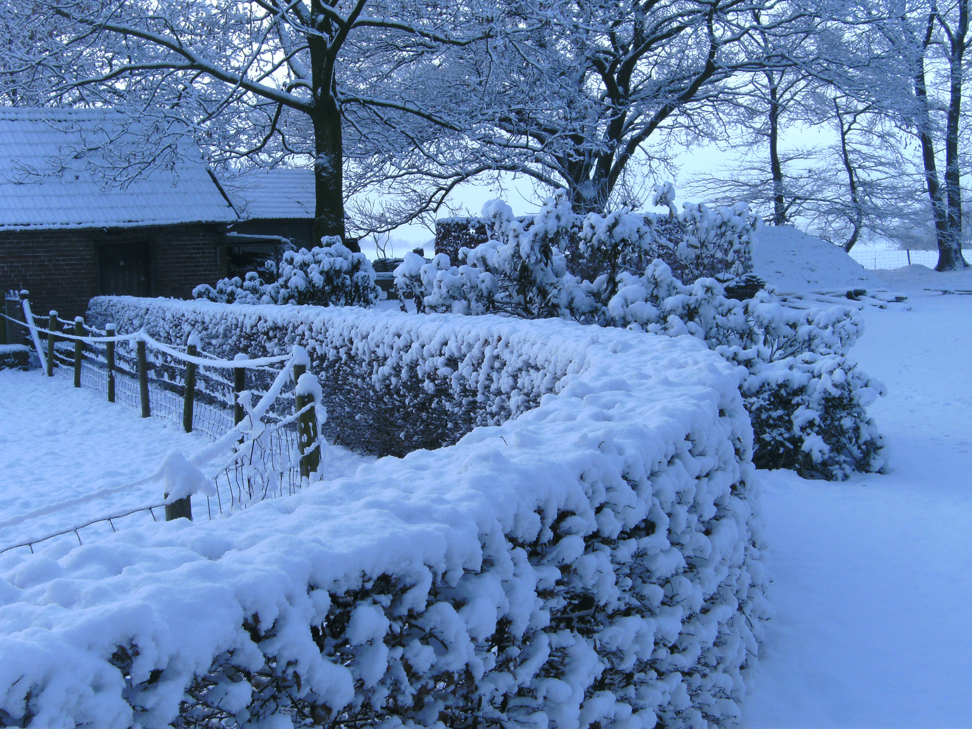 - image: 39