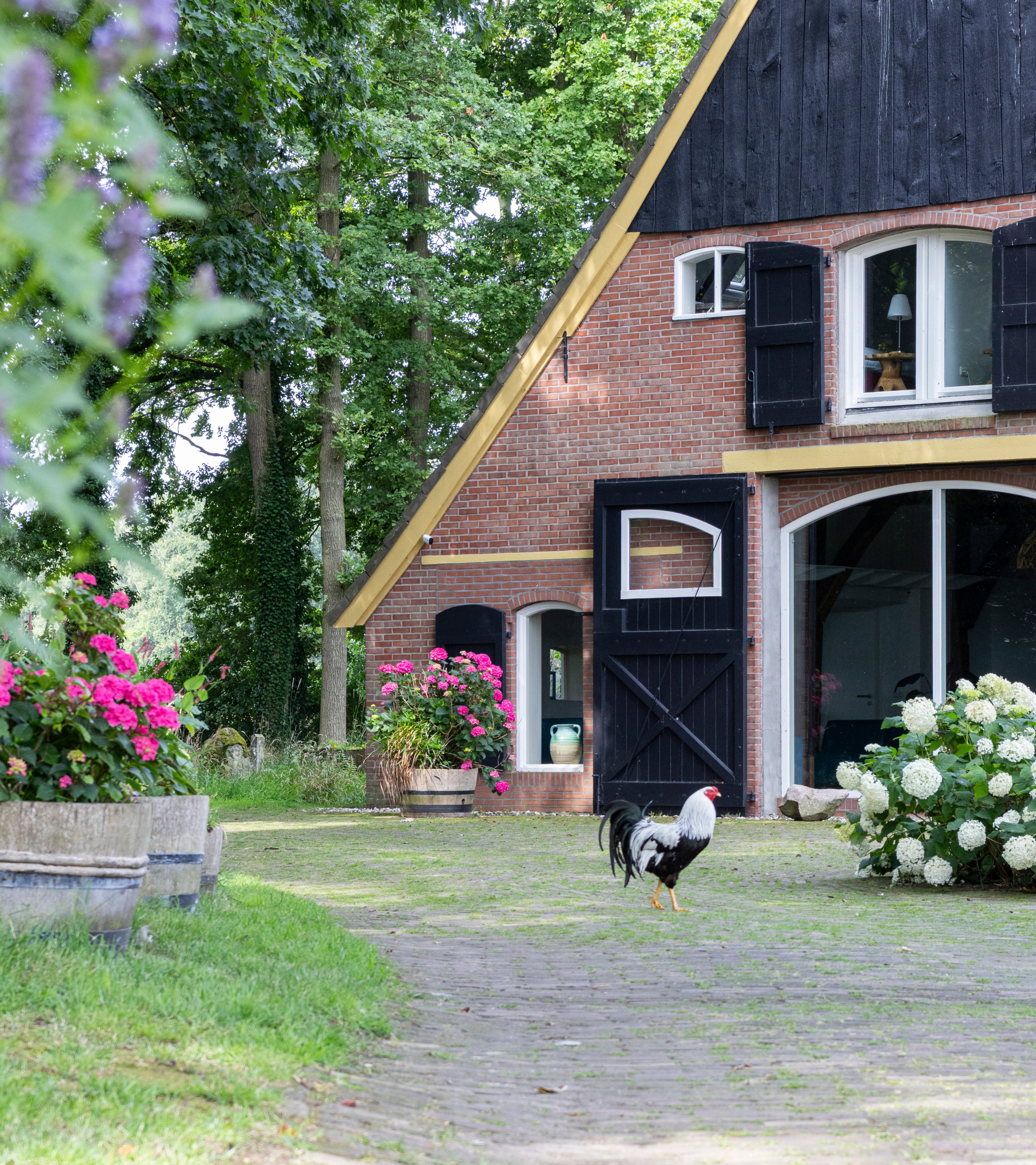 Casa nella natura a Diepenheim