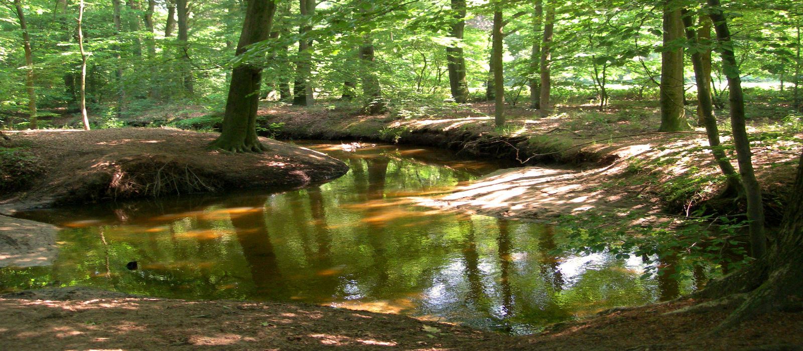 - image: 27