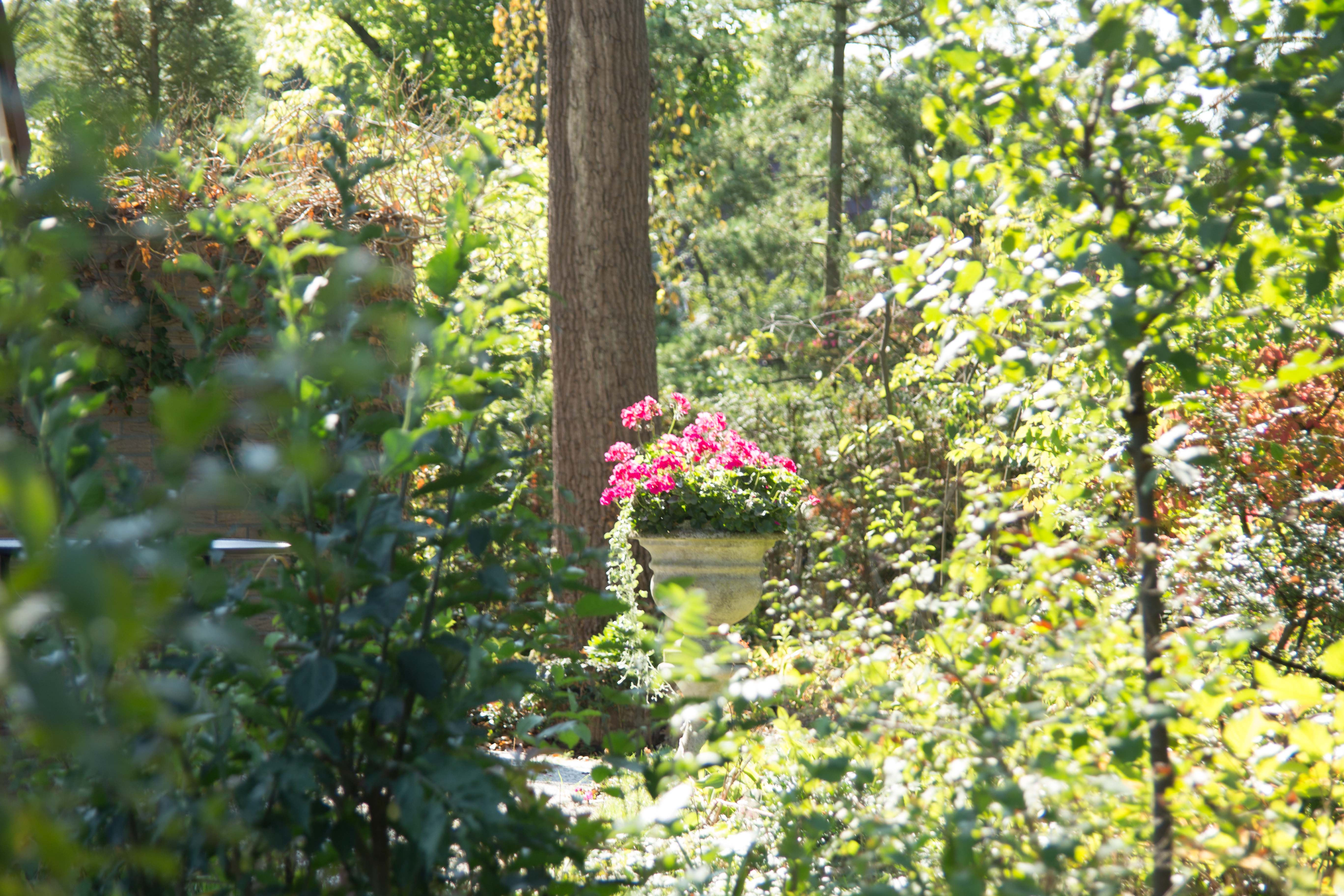 - image: 22
