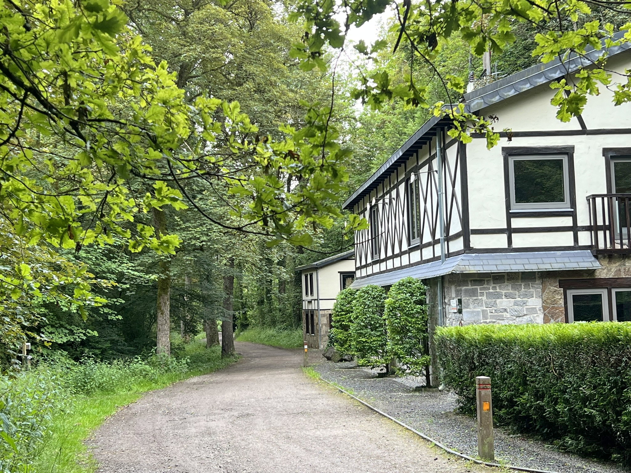 - image: 42