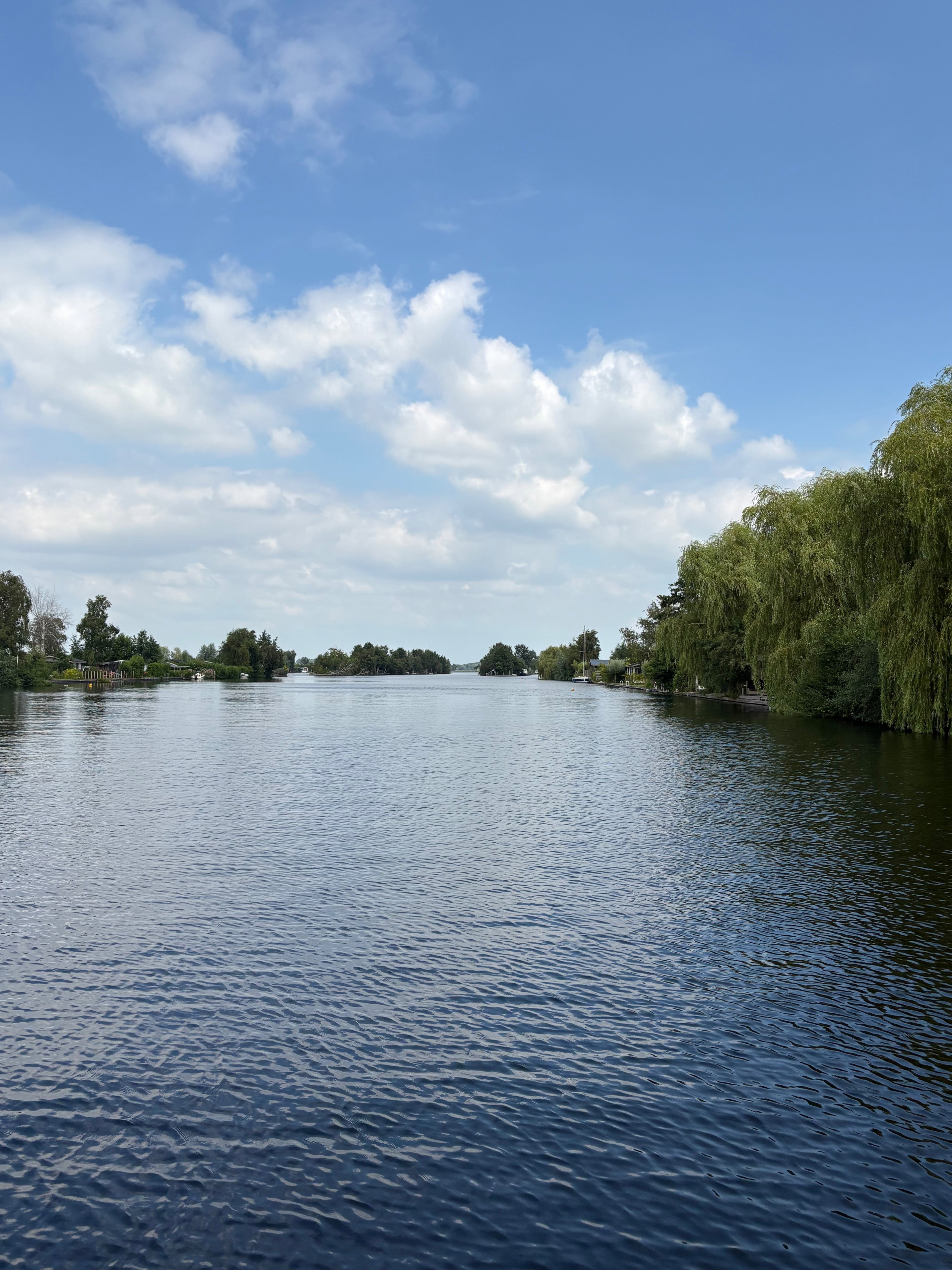 - image: 22