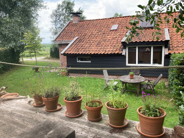- image: 11