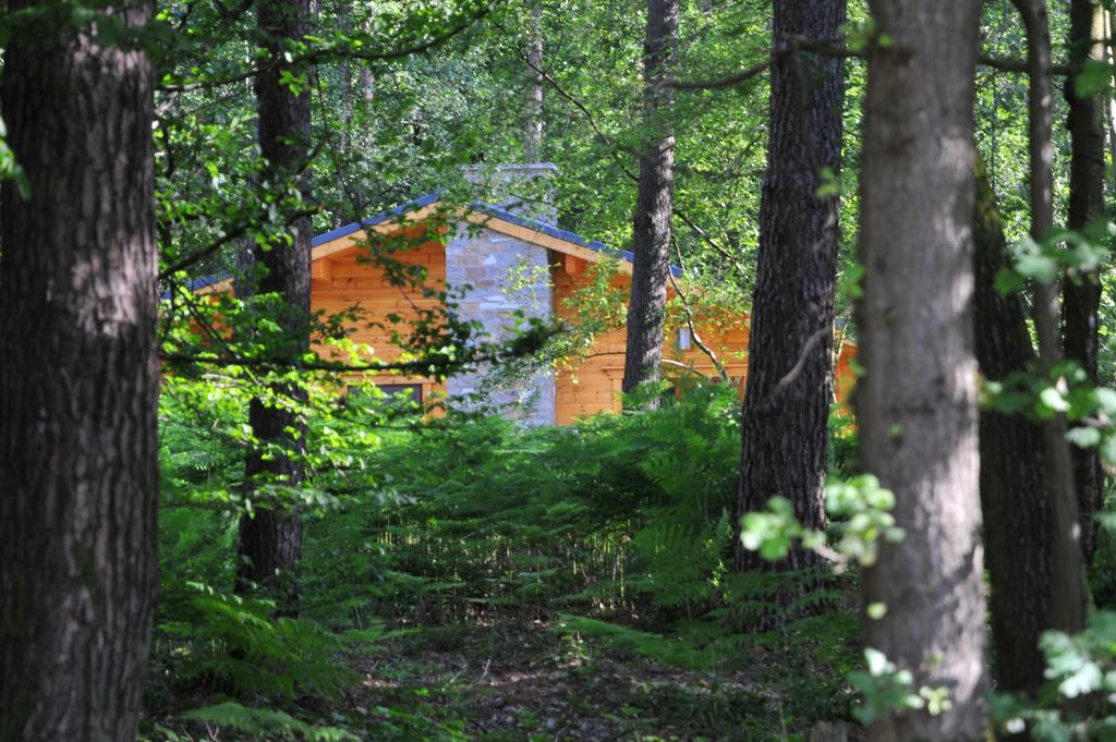 - image: 12