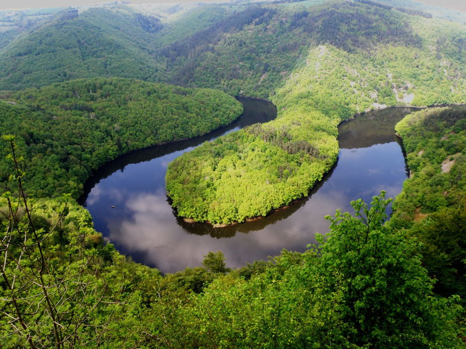 - image: 13