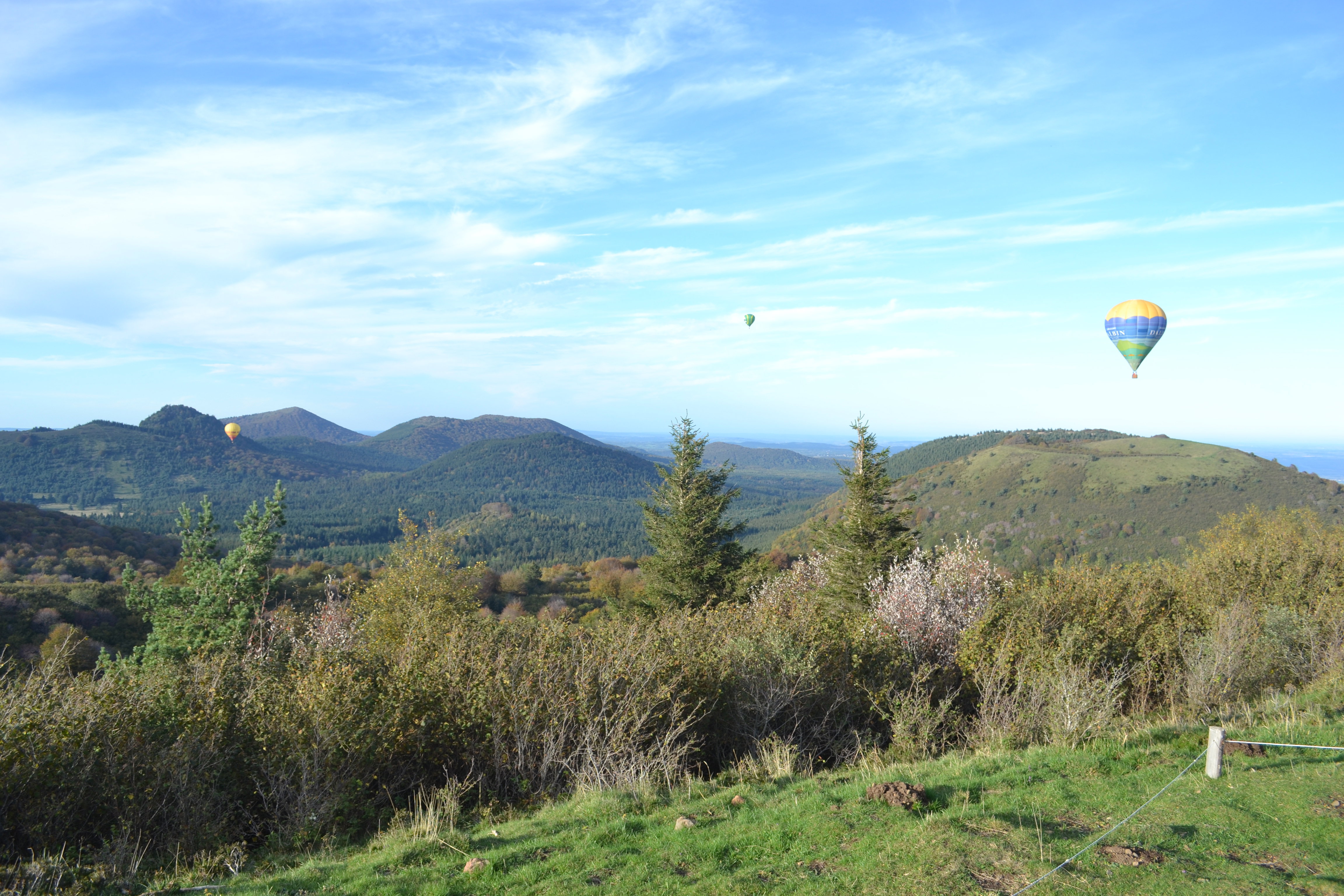 - image: 11
