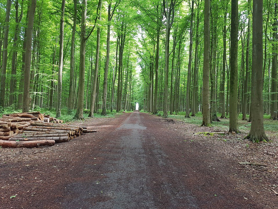 Naturhäuschen in Somme-Leuze