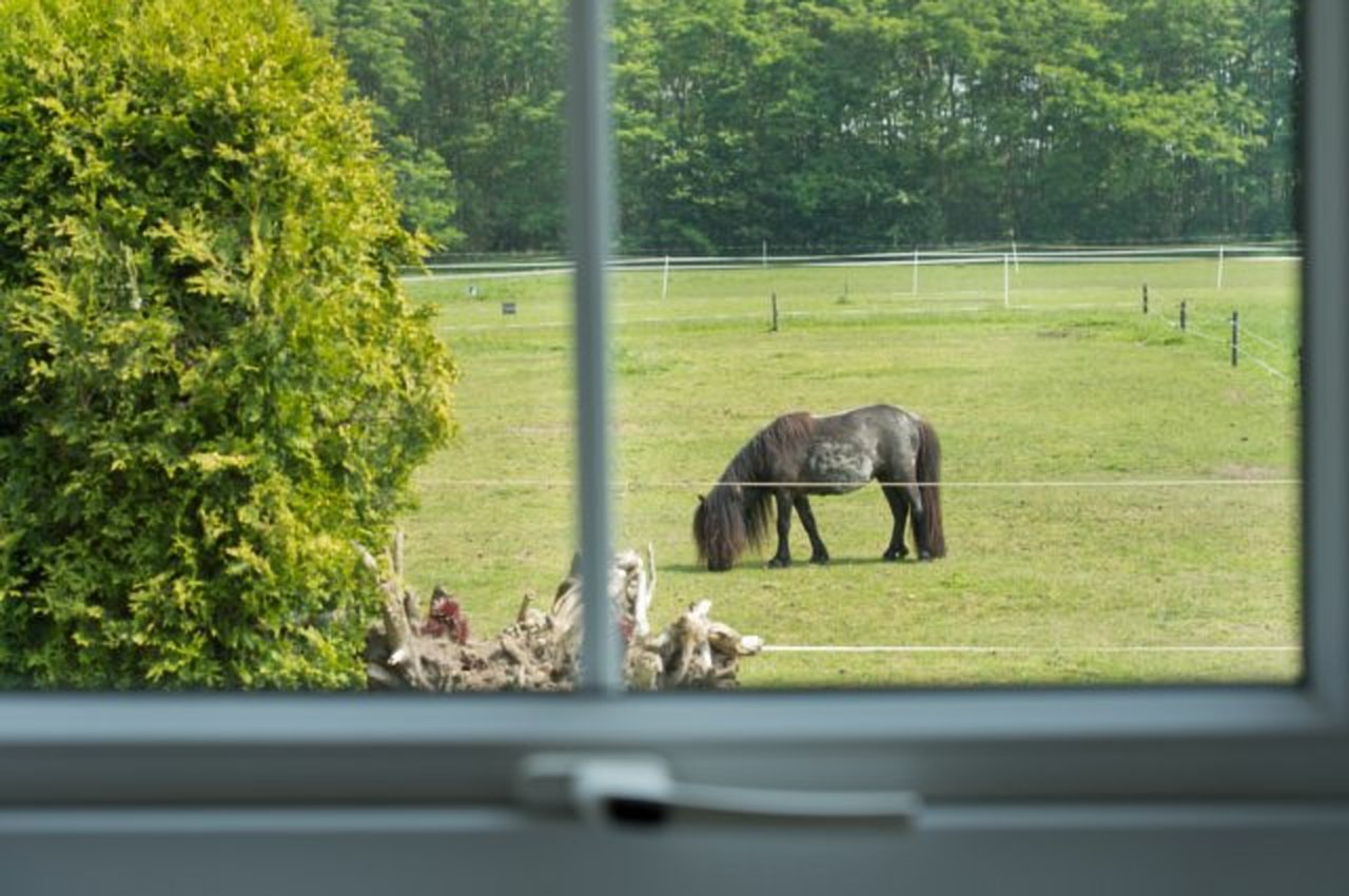 Naturhäuschen in Aalten