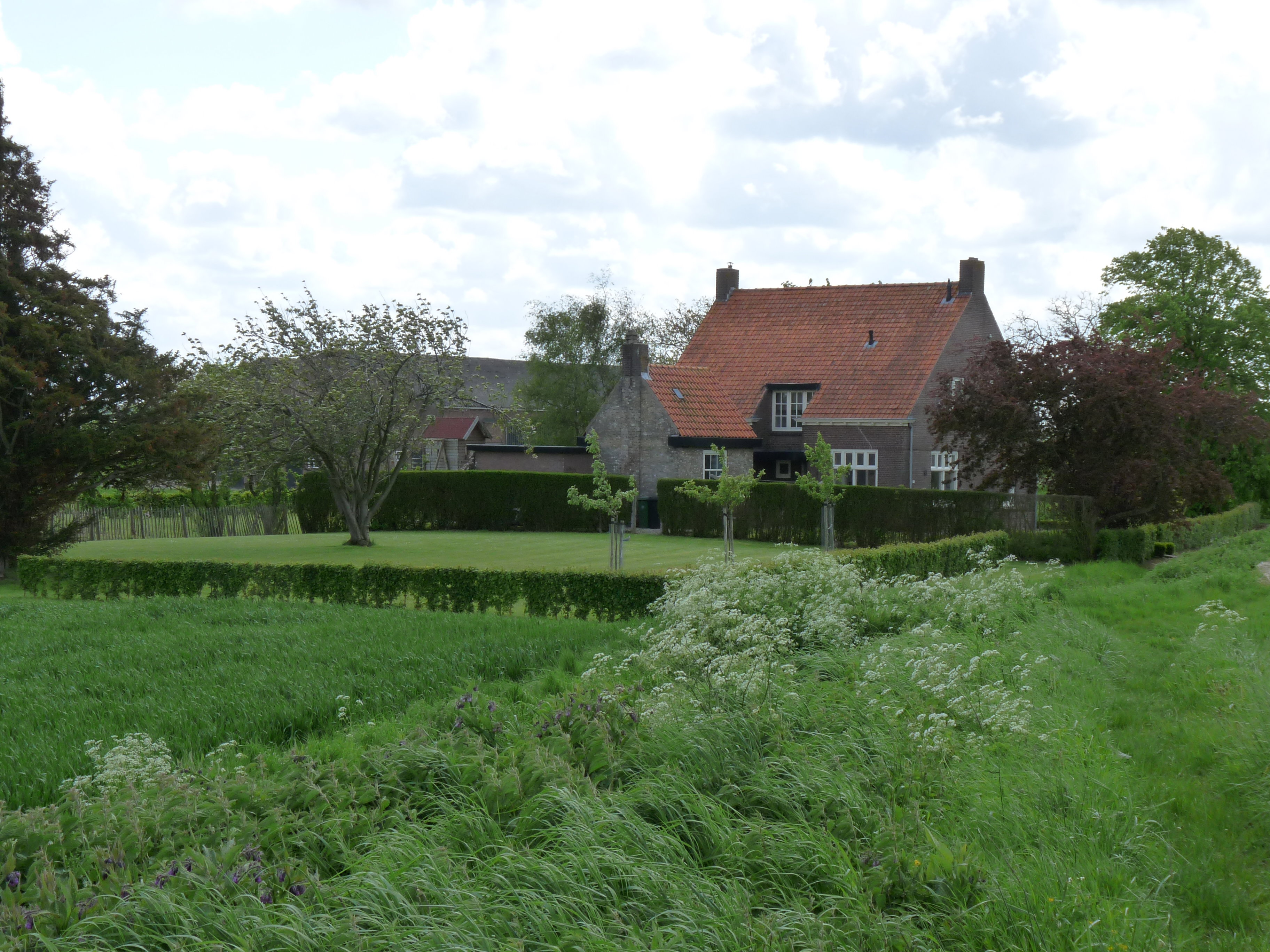 - image: 28