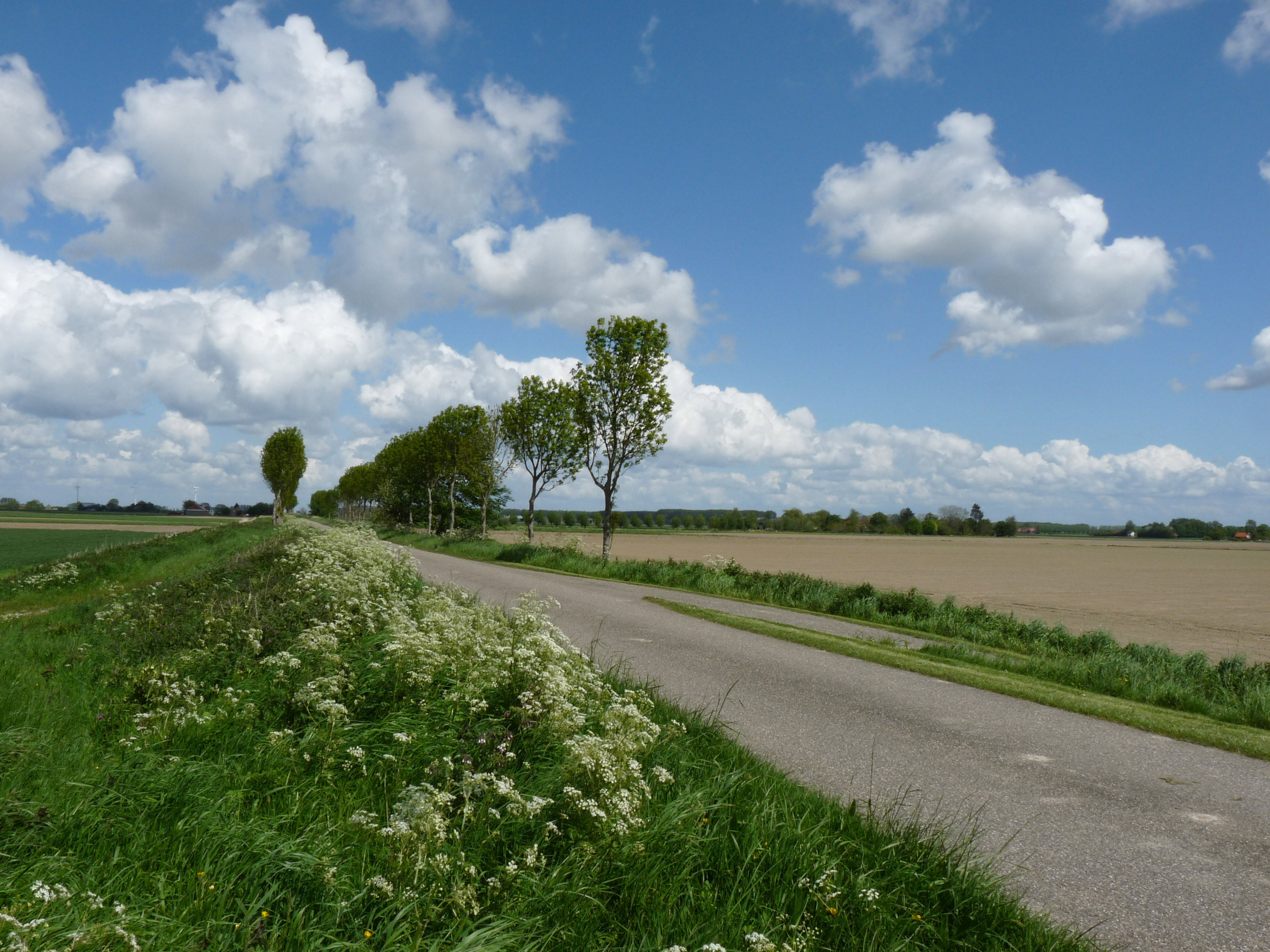 - image: 25