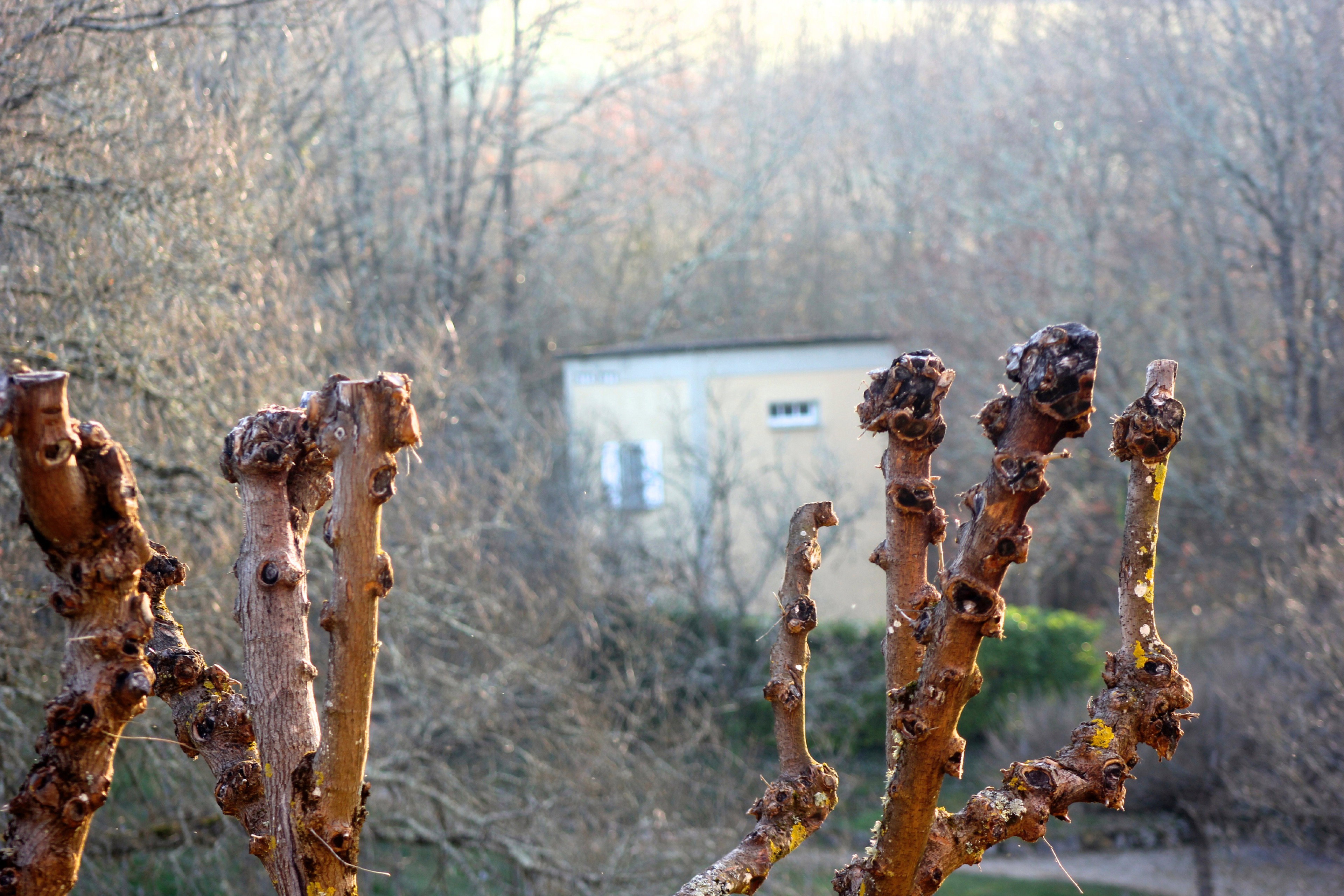 Naturhäuschen in Veyrines de Domme