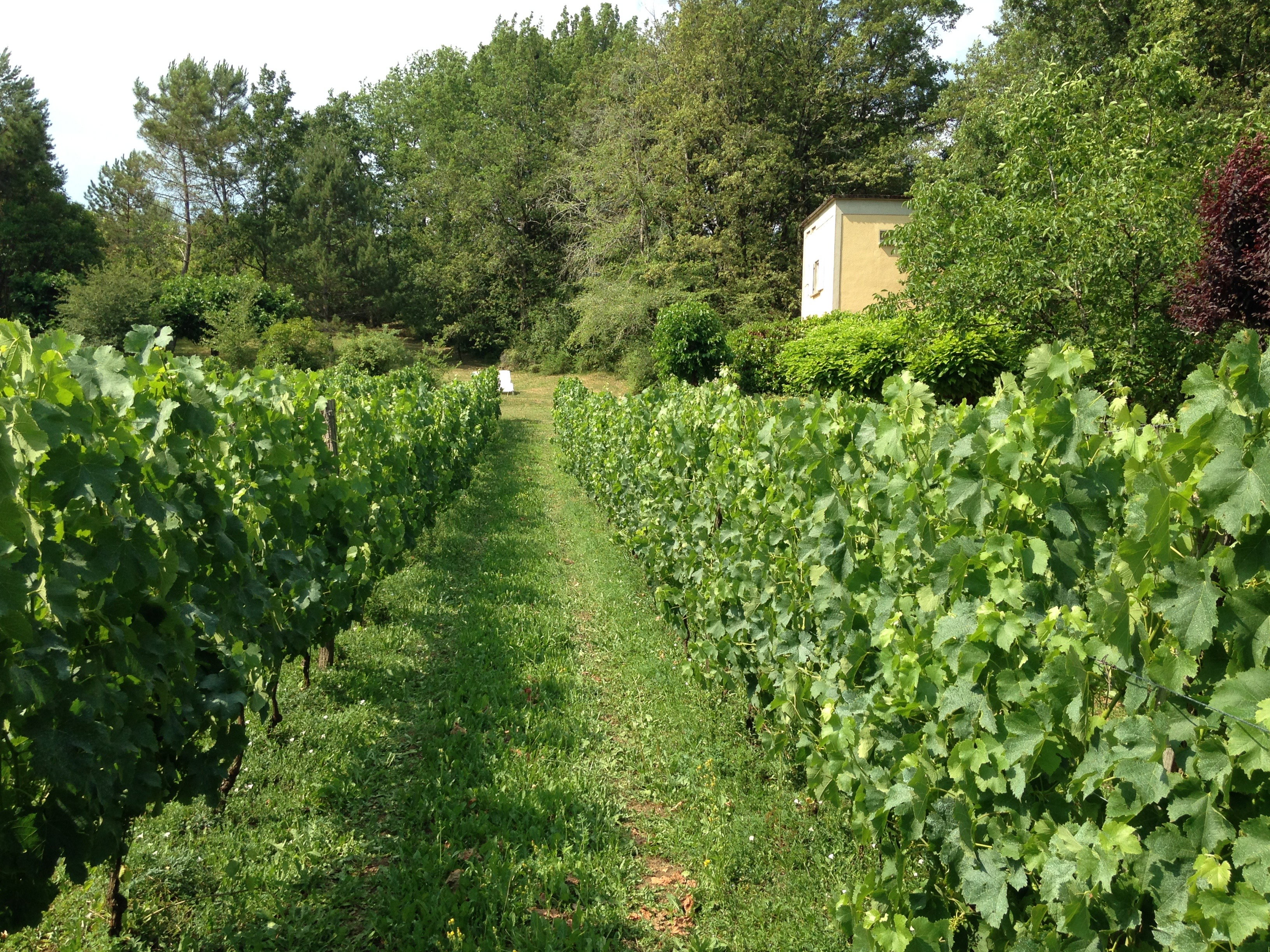 Naturhäuschen in Veyrines de Domme
