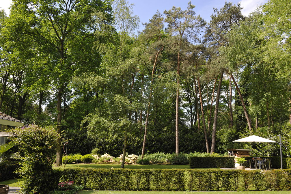 Naturhäuschen in Enschede