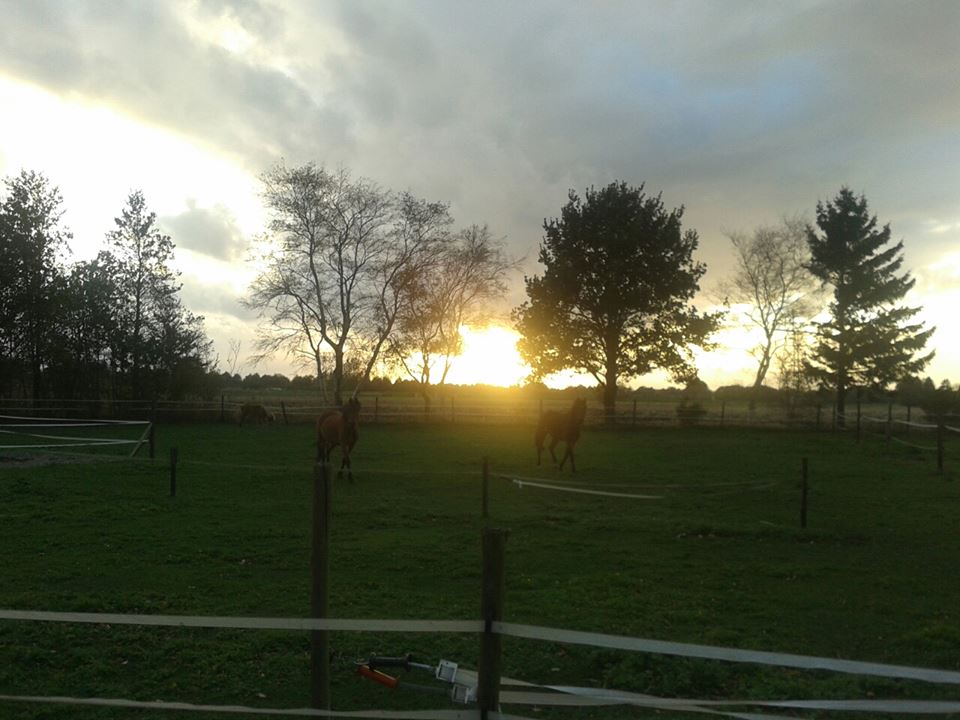 - image: 40
