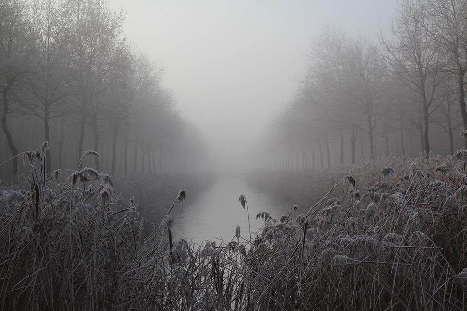 - image: 52