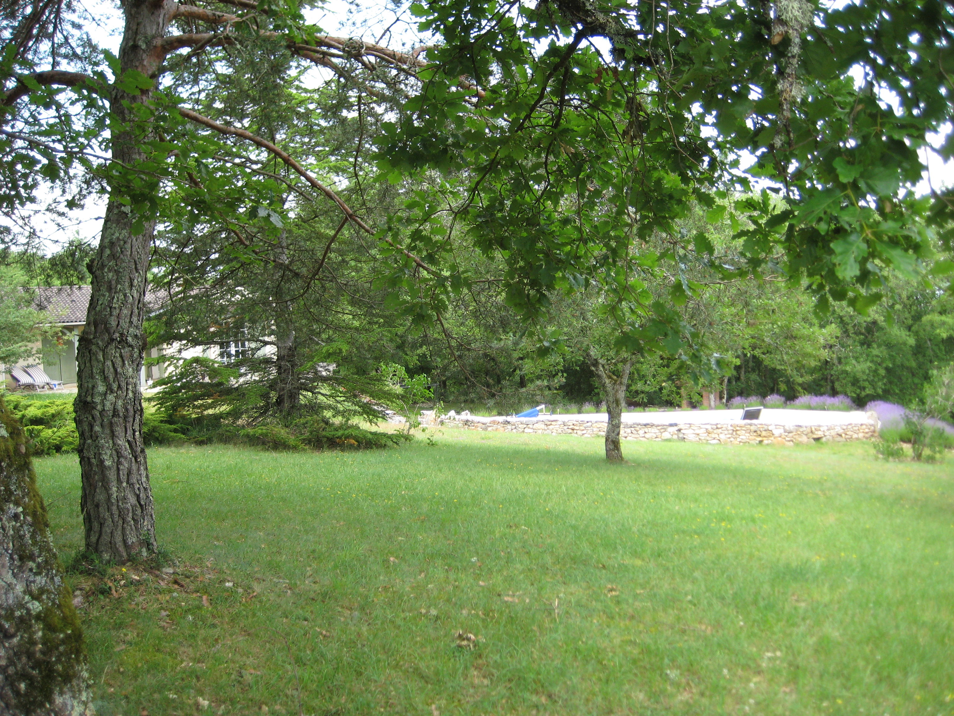 - image: 16