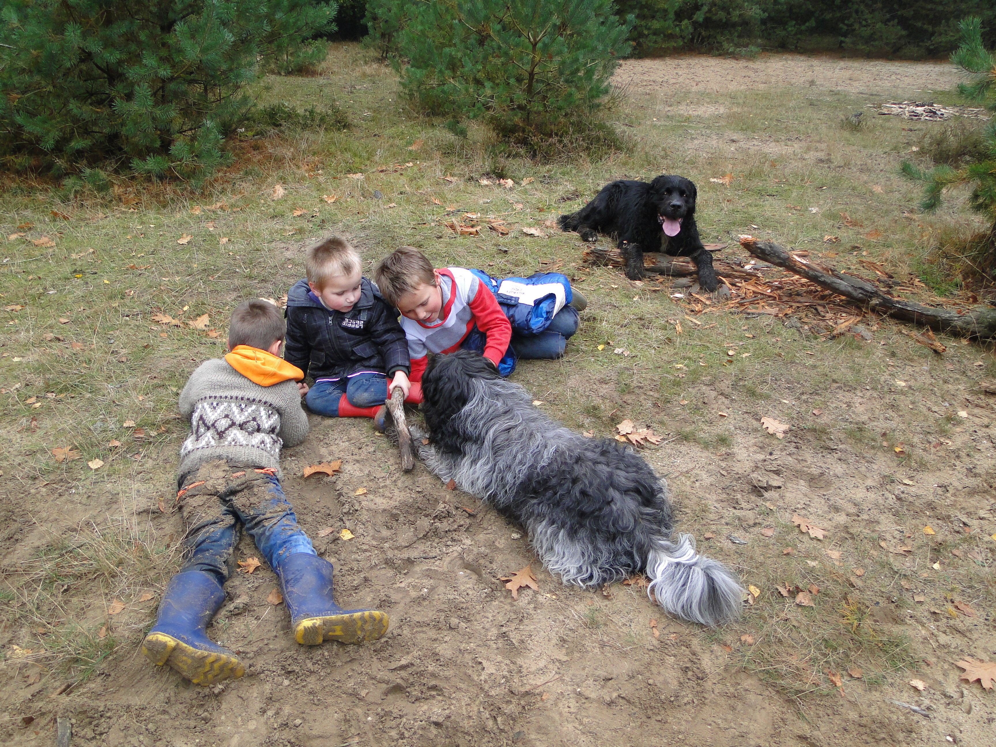 - image: 15