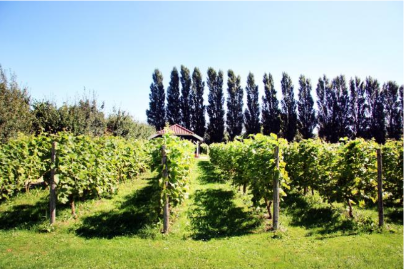 Maison nature à Terwolde