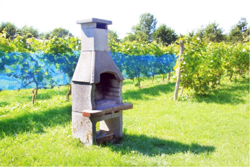 Maison nature à Terwolde