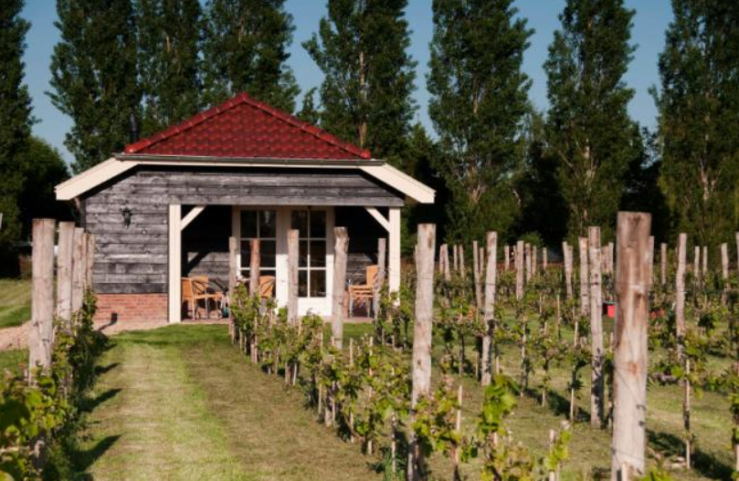 Maison nature à Terwolde