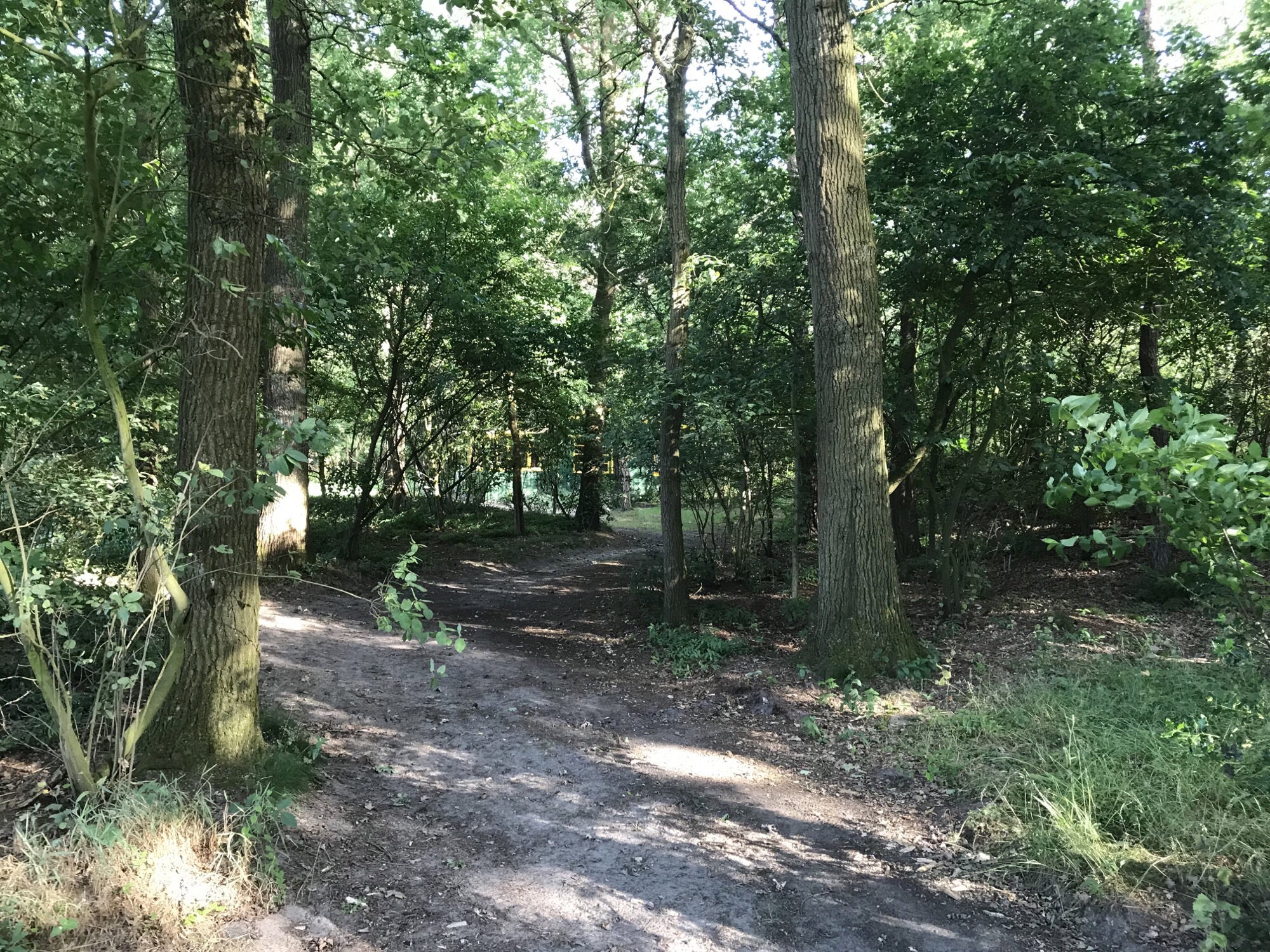 Naturhäuschen in de Lutte
