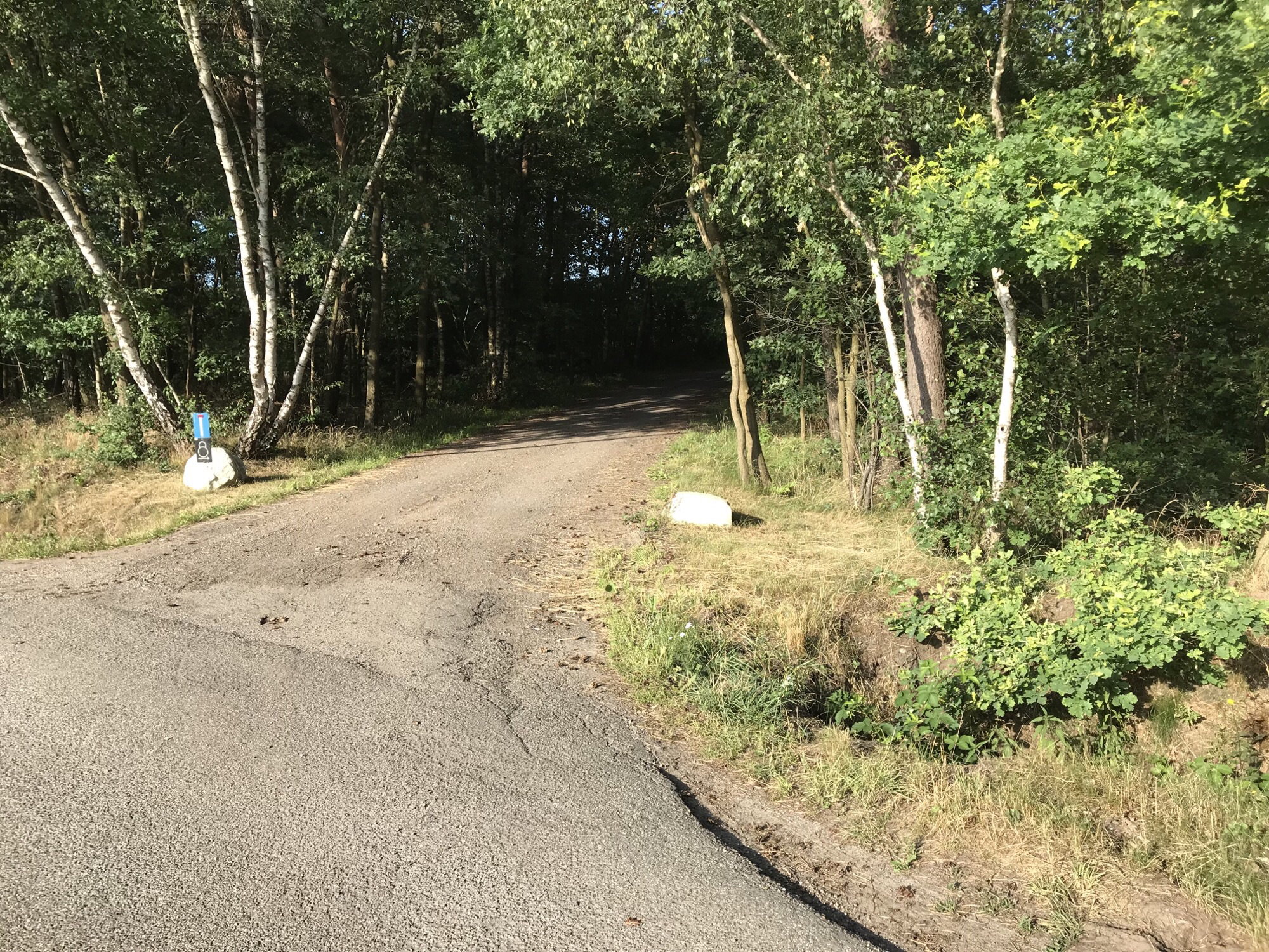 Naturhäuschen in de Lutte