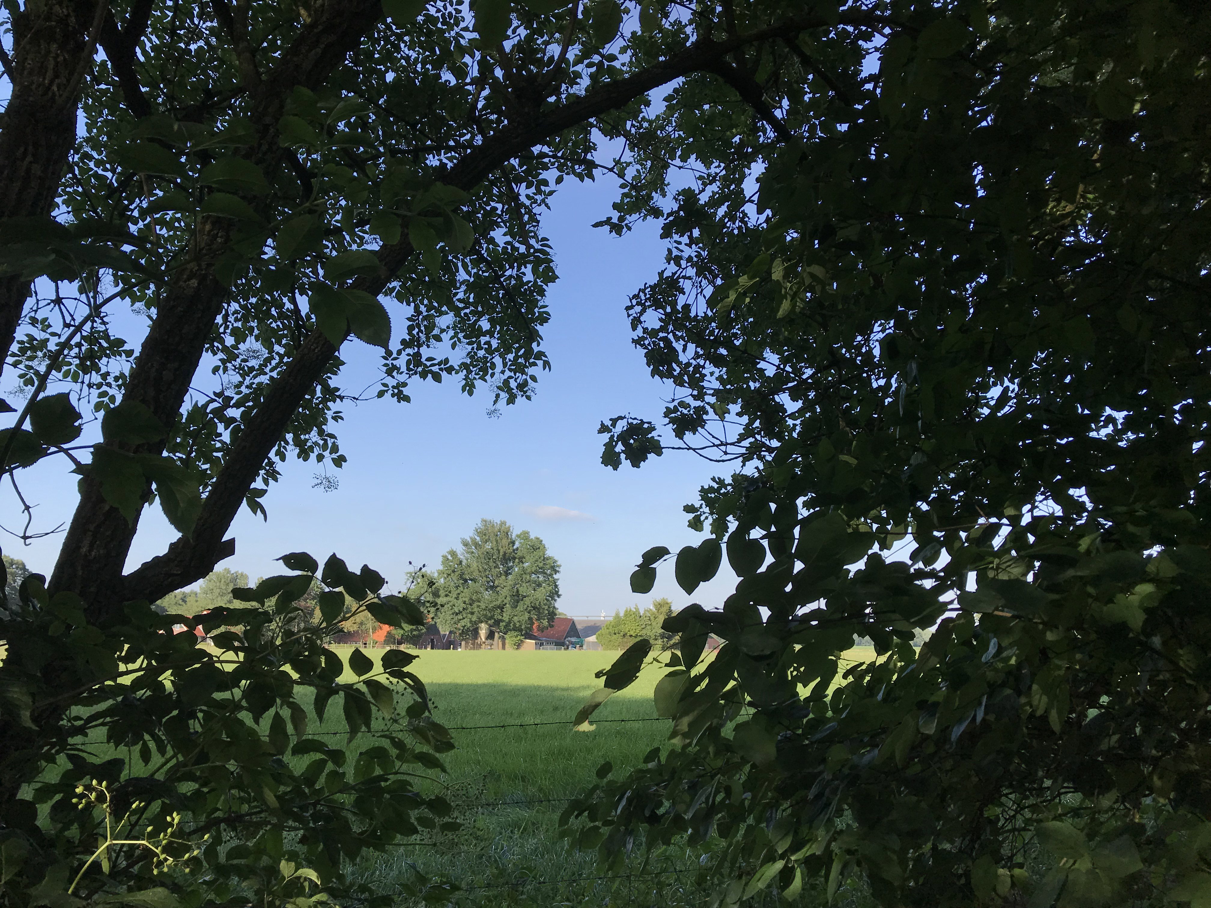 Naturhäuschen in de Lutte