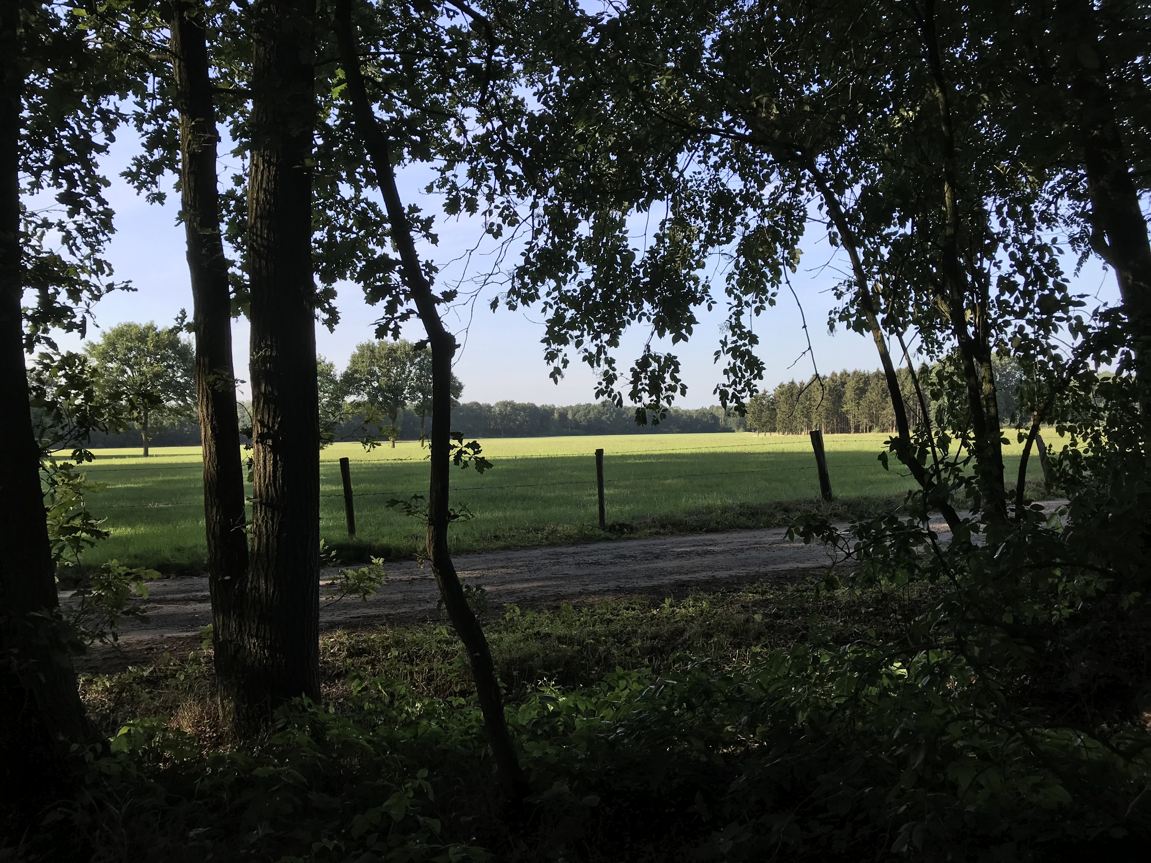 Naturhäuschen in de Lutte