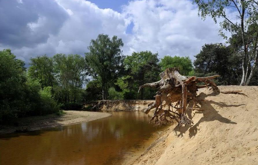 Naturhäuschen in de Lutte