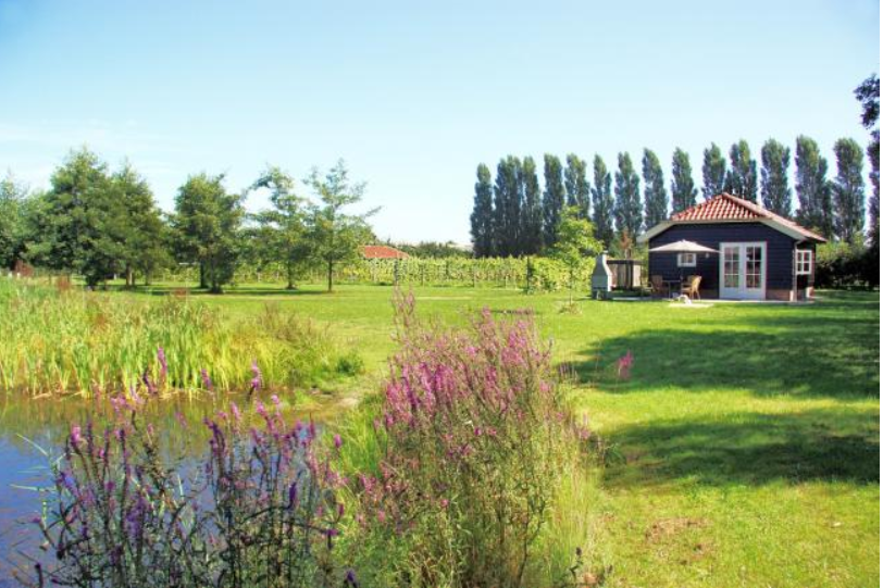 Maison nature à Terwolde