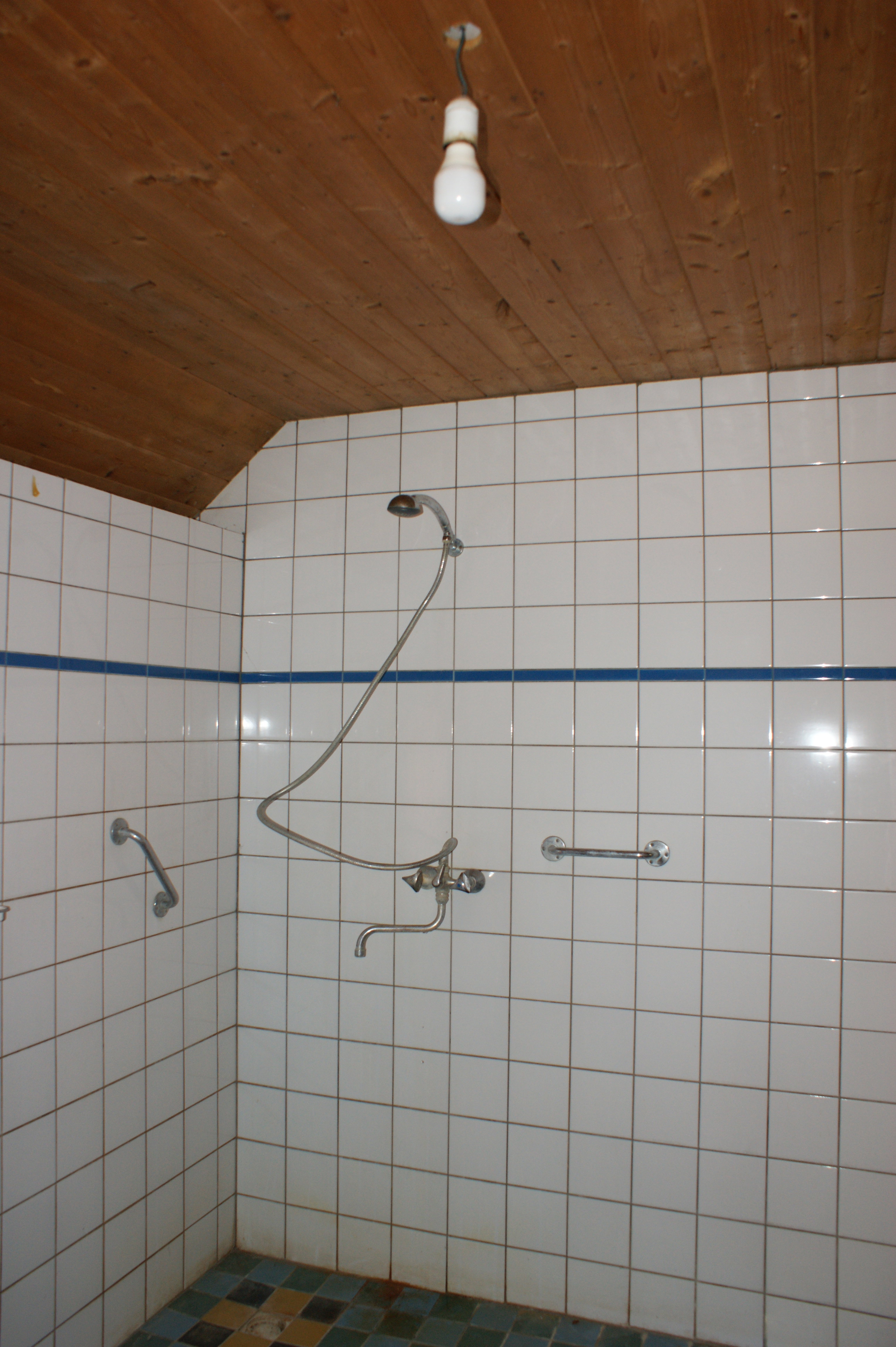 - image: 12