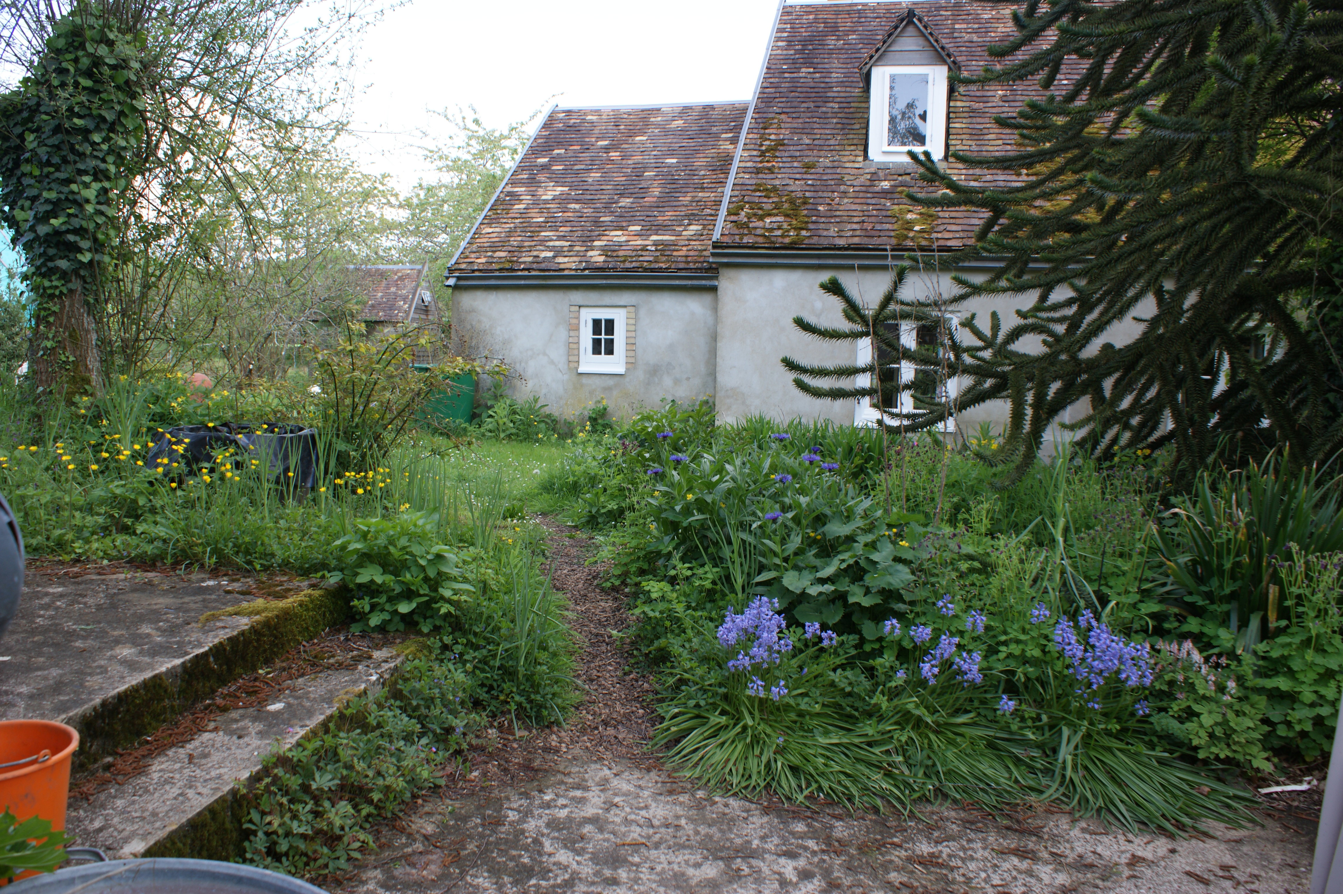 - image: 11