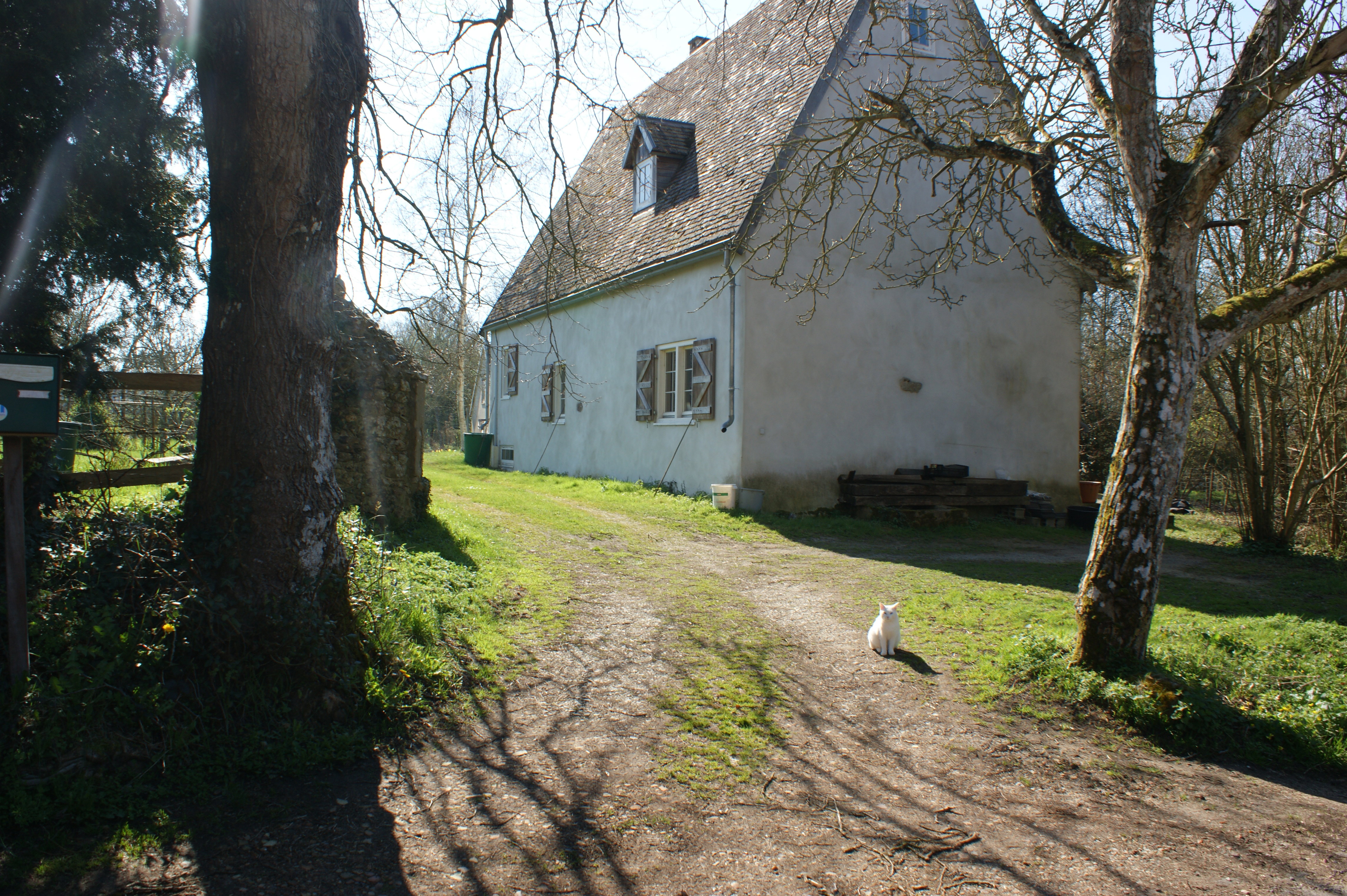 Maison nature à St.Denis des Coudrais