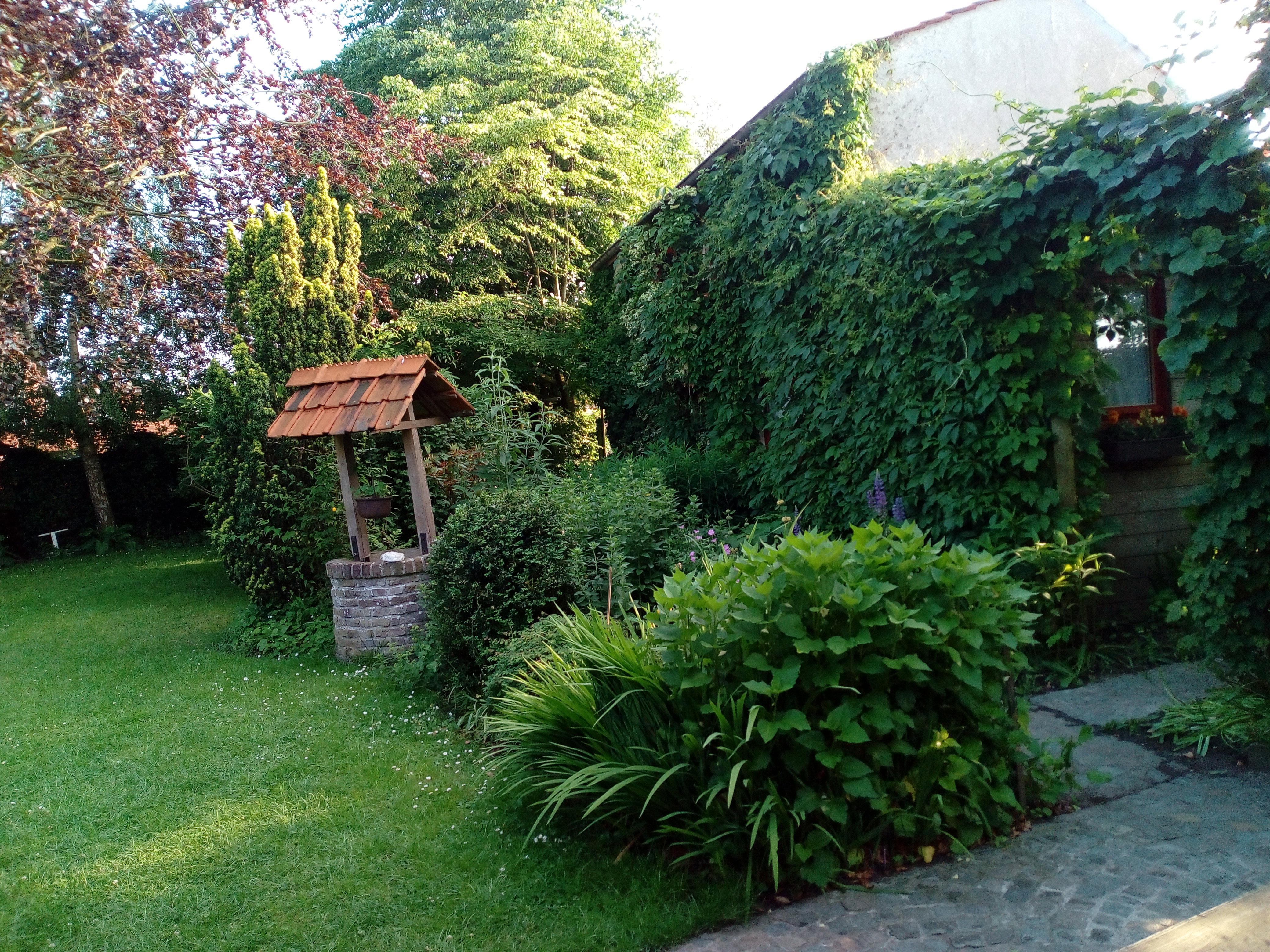 - image: 12