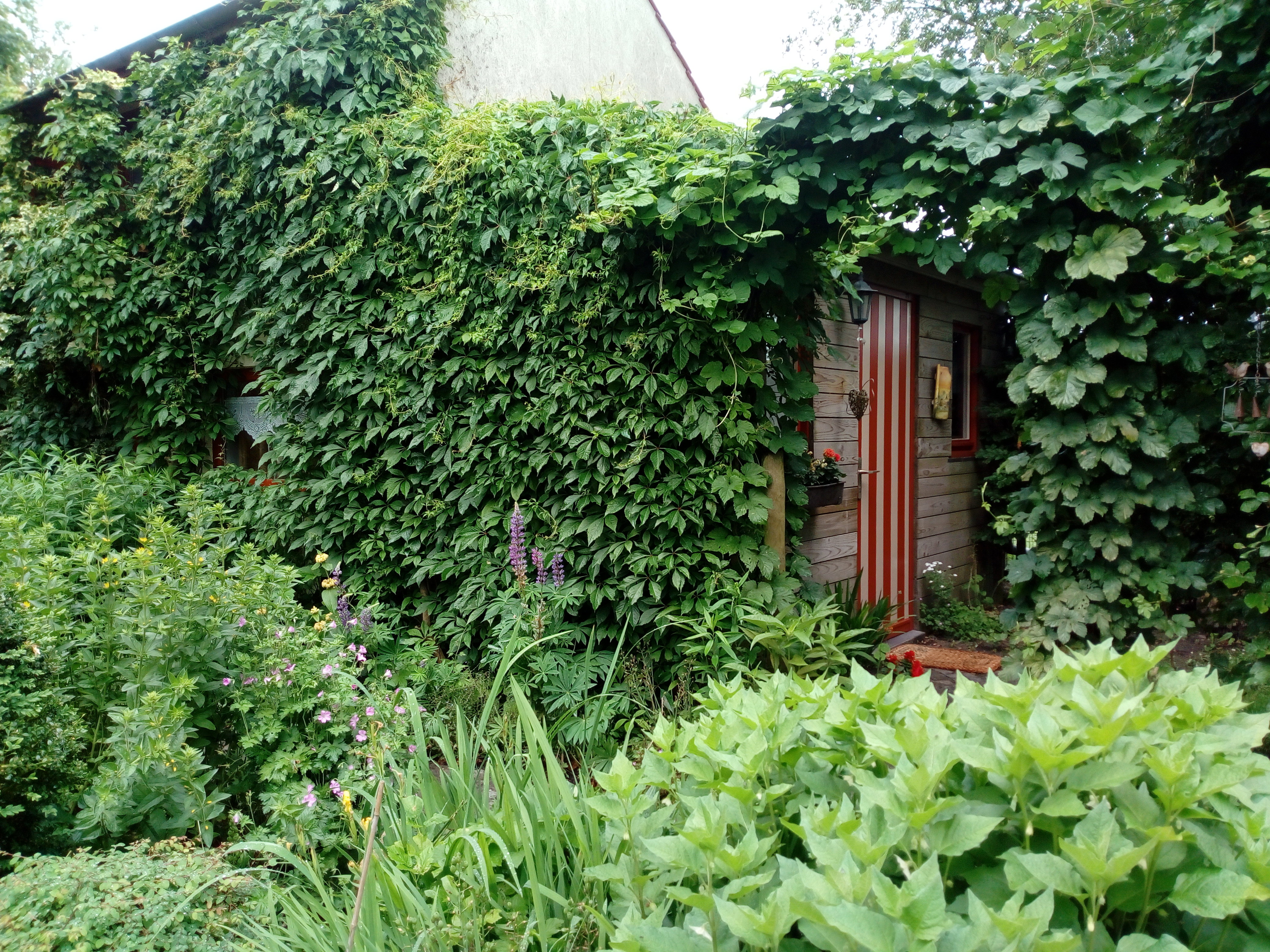 - image: 14