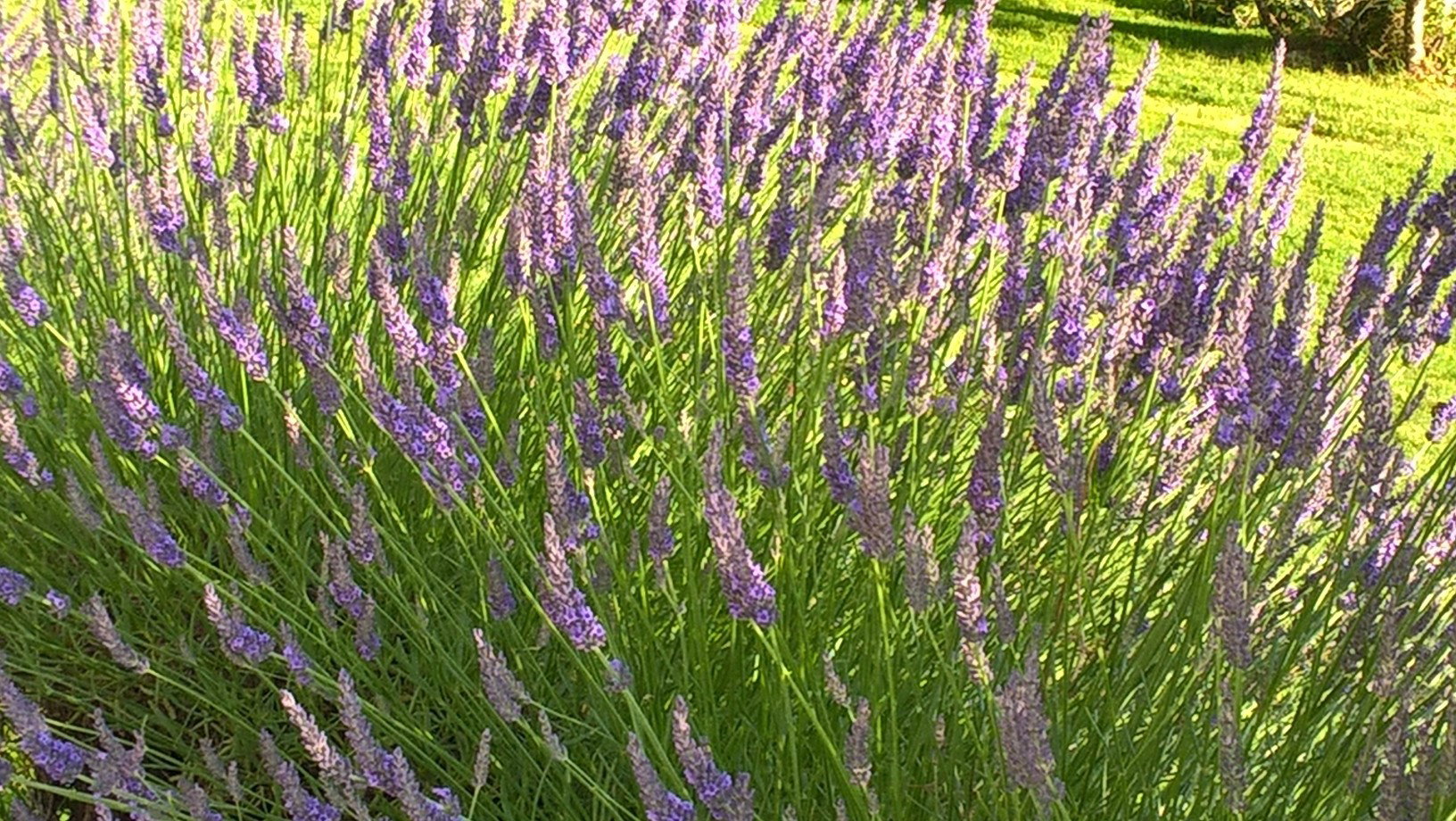 Maison nature à Vouneuil sur Vienne
