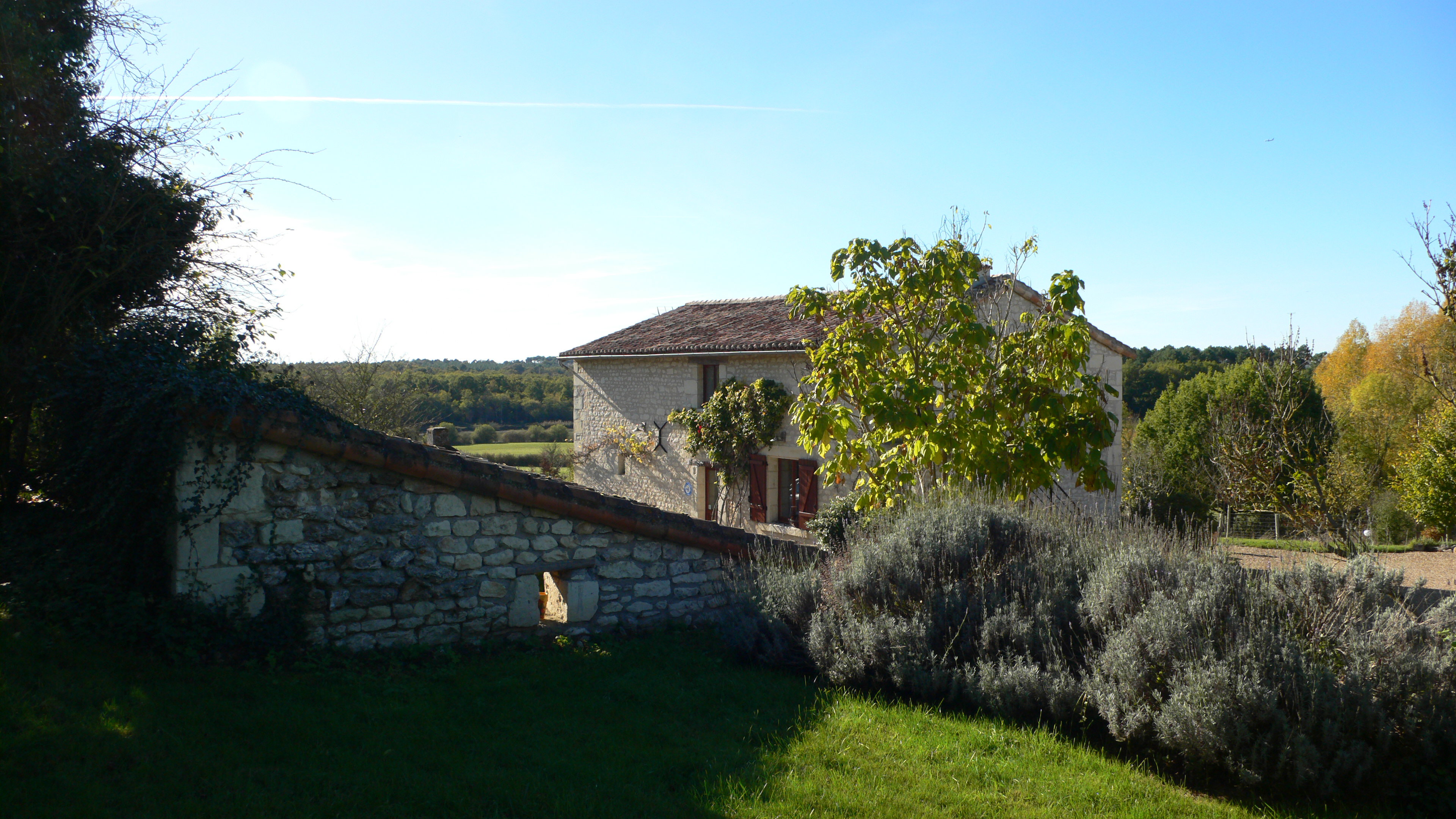 - image: 25