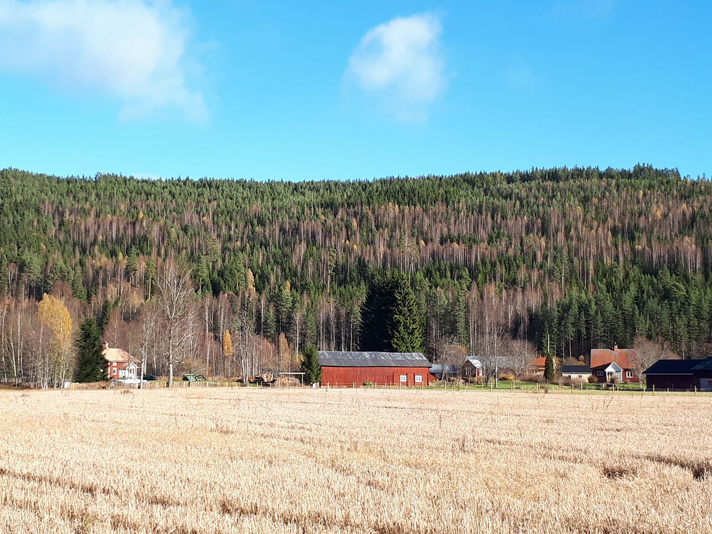 Naturhäuschen in Hagfors