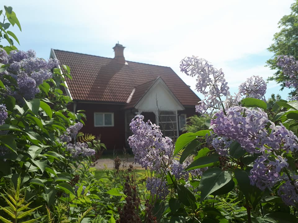 Naturhäuschen in Hagfors